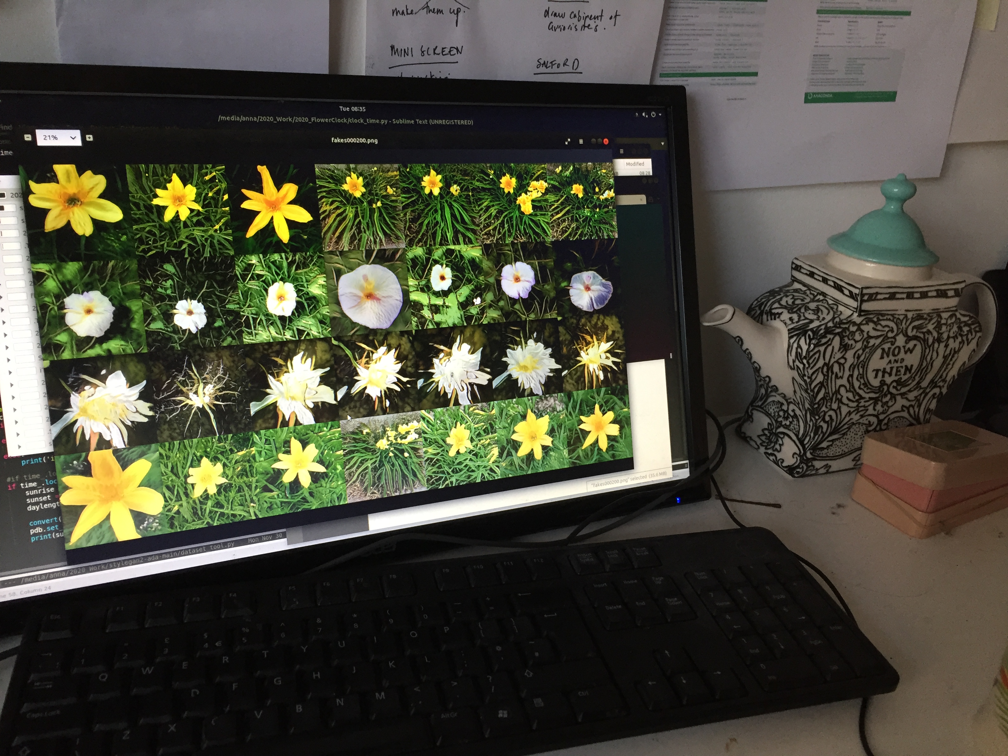 Early tests creating an algorithmic flower clock