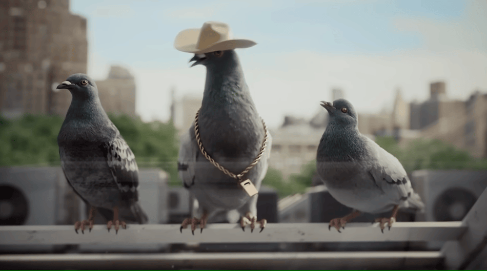 * DIRECTV_For the Birds_Randy Krallman