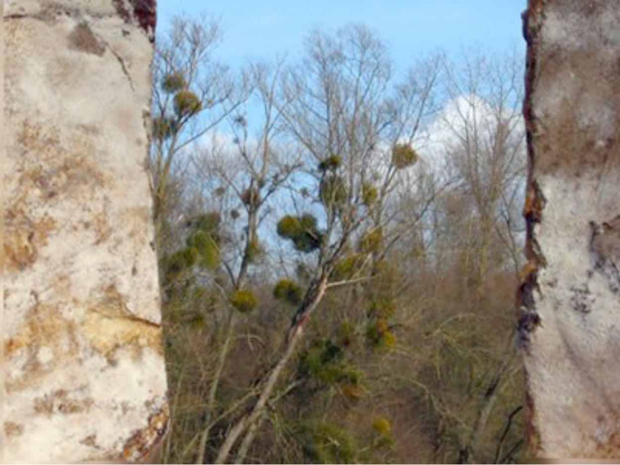 Here and Elsewhere 2007