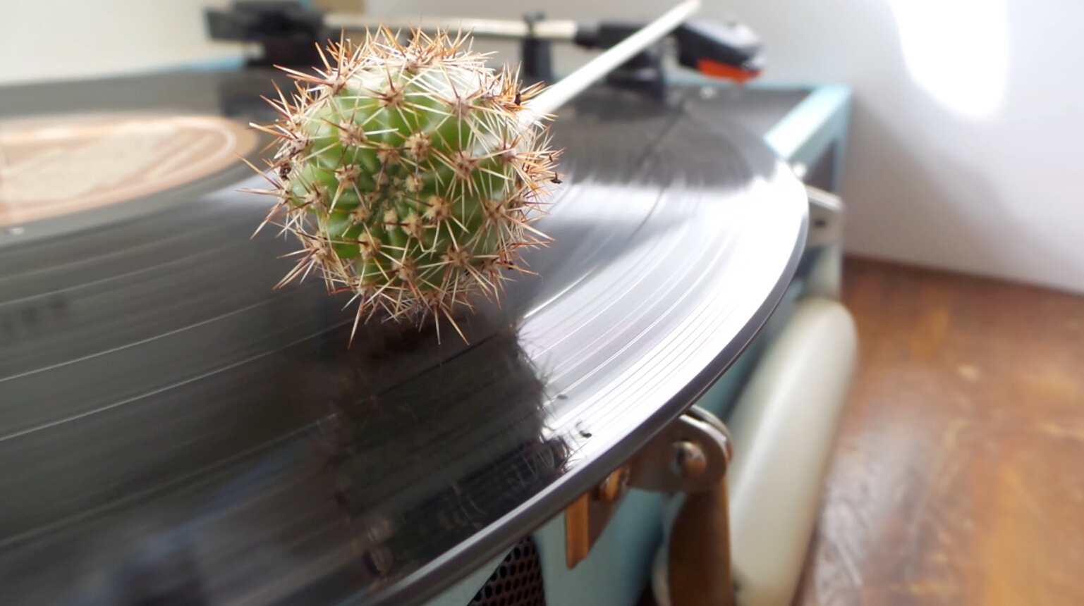 Still from Turntable Cactus Needles by Michael Ridge