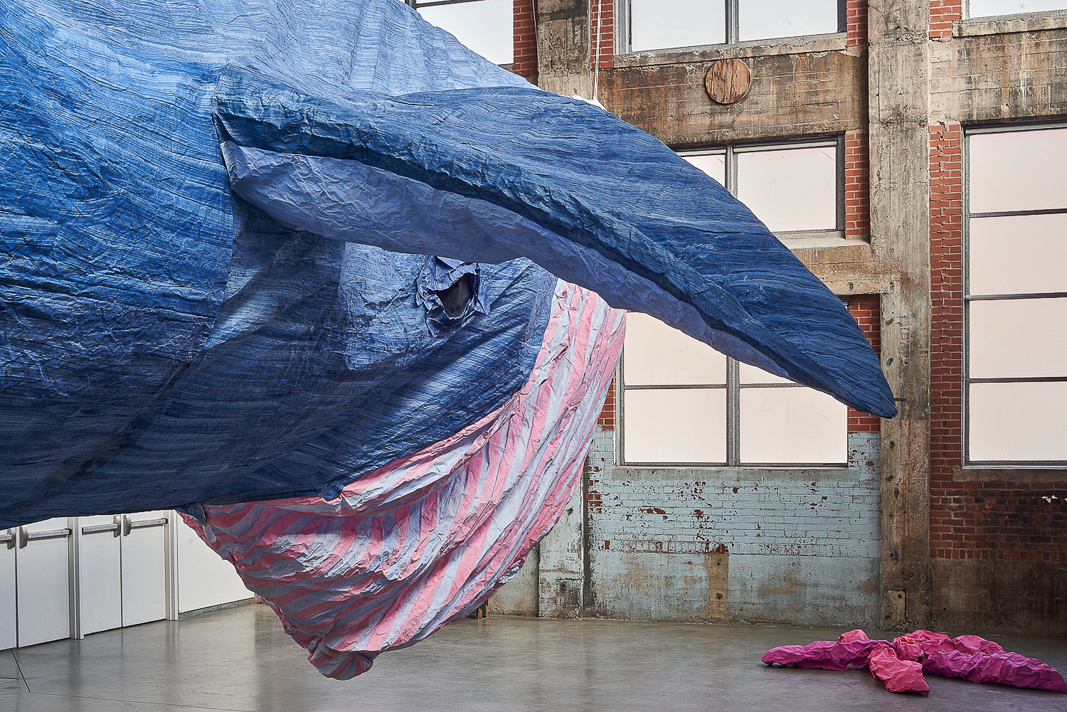Cynthia Girard-Renard, Sans toit ni loi : les cétacés du Saint-Laurent, 2020. Photo : Anthony Burnham