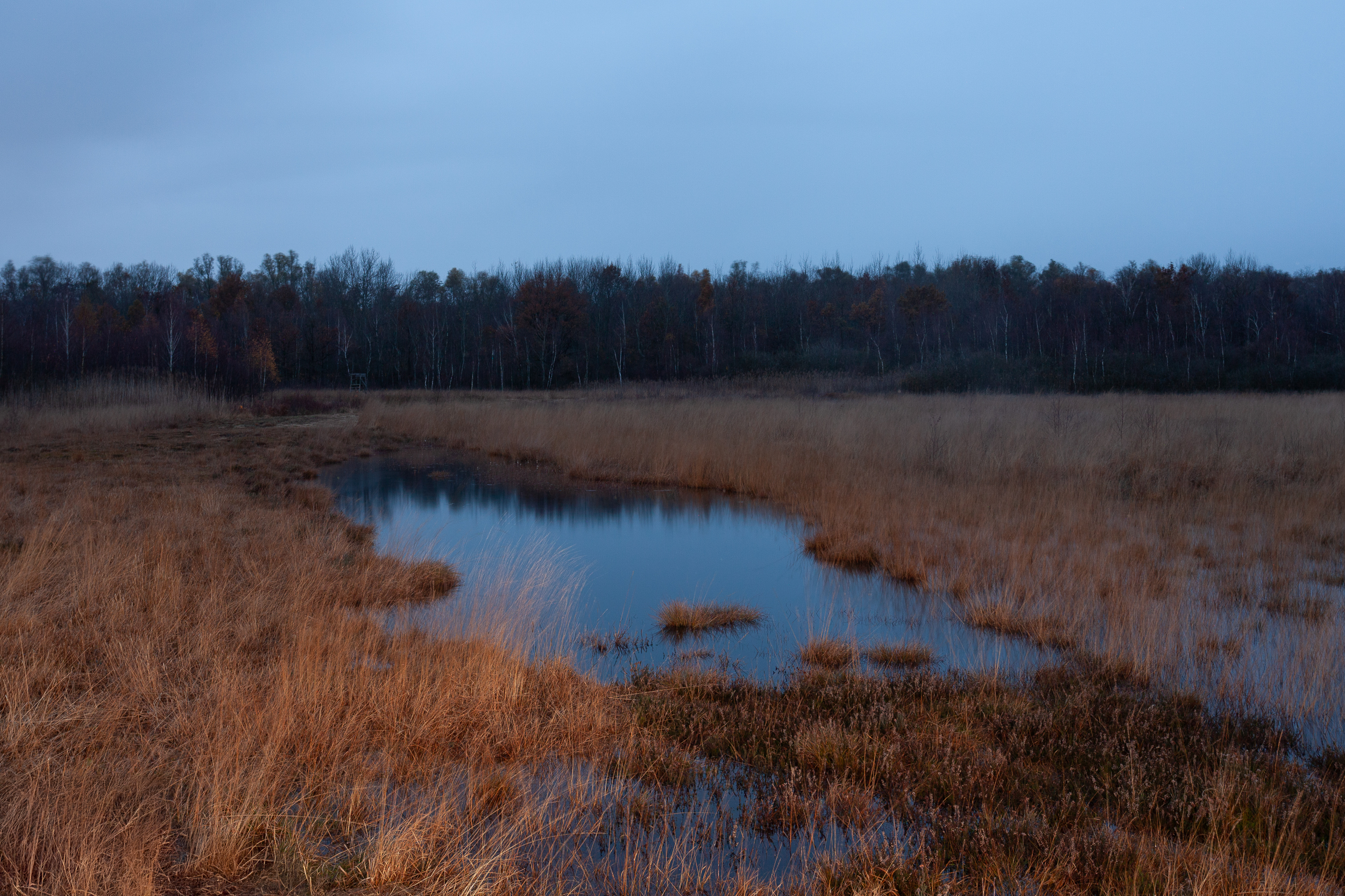 »Es dämmert«, 2023