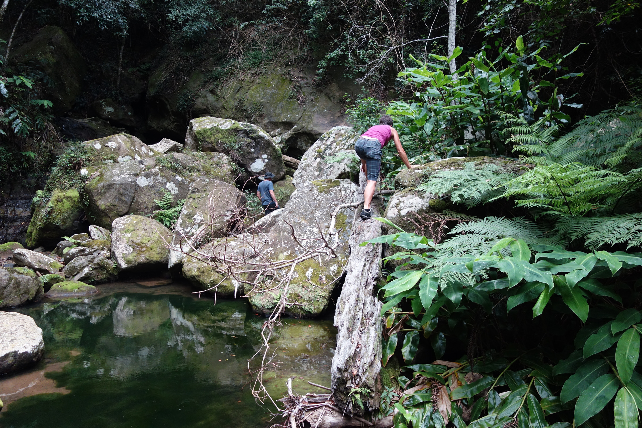 Upper Reaches, Byarong Creek