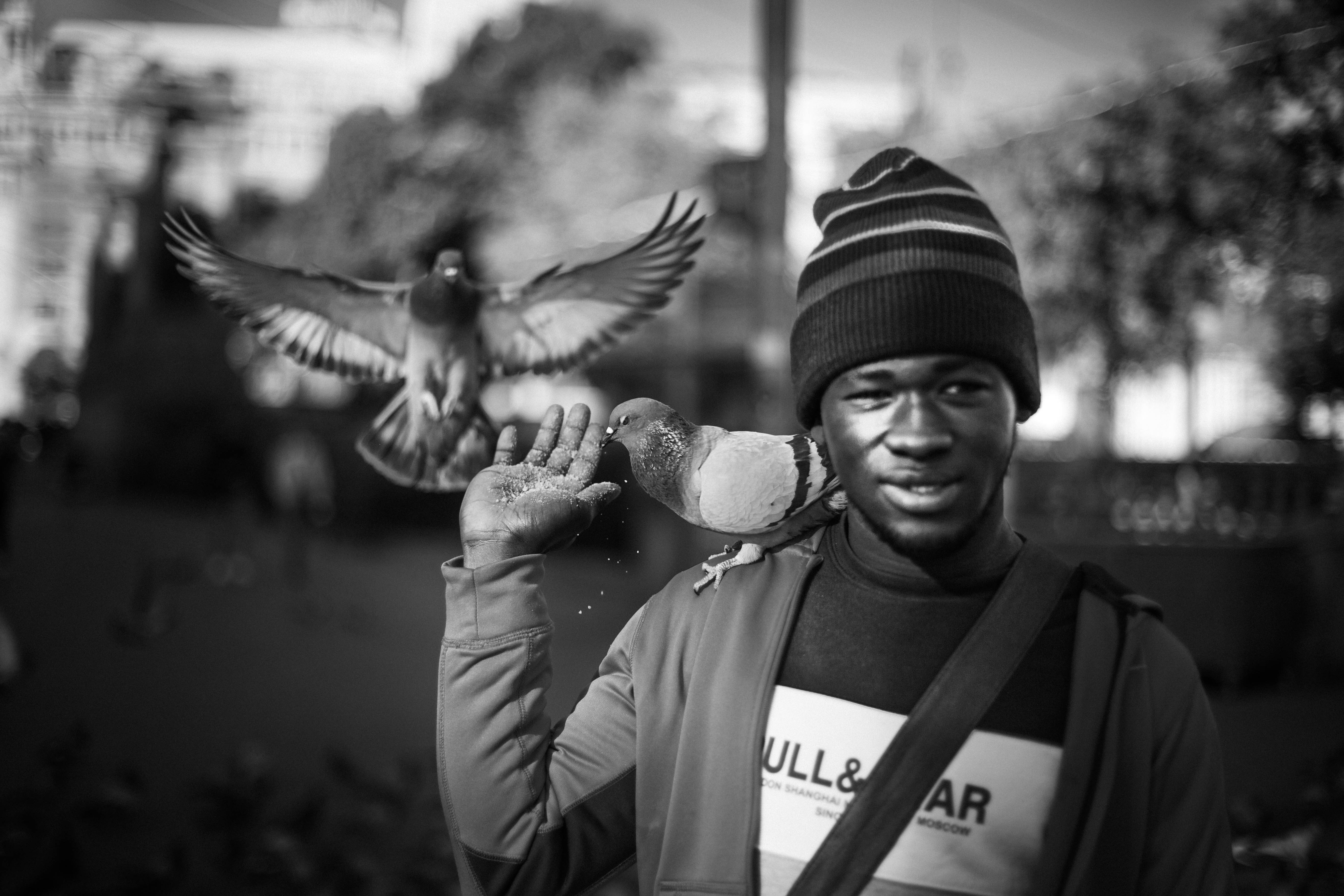 Cada uno vuela con su propia especie: paloma con paloma, halcón con halcón, pero de vez en cuando existen determinados individuos que deciden saltarse las normas…🕊