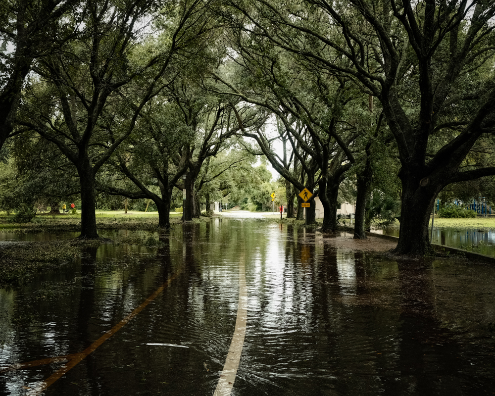 Flooding in Hampton Park