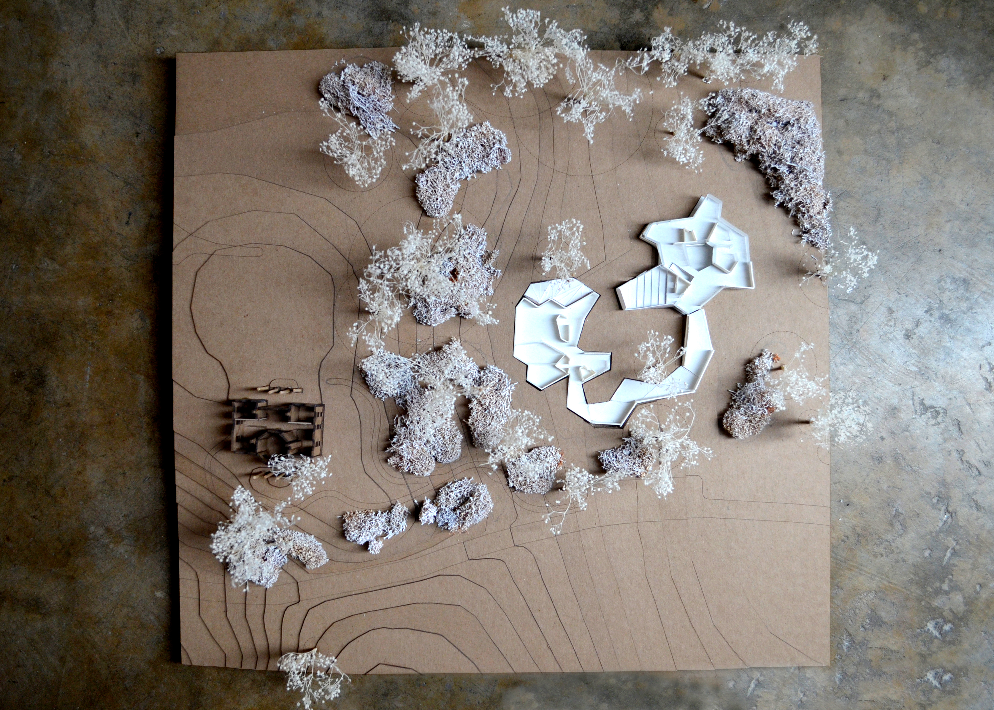 ARCH 6010 : Site Model