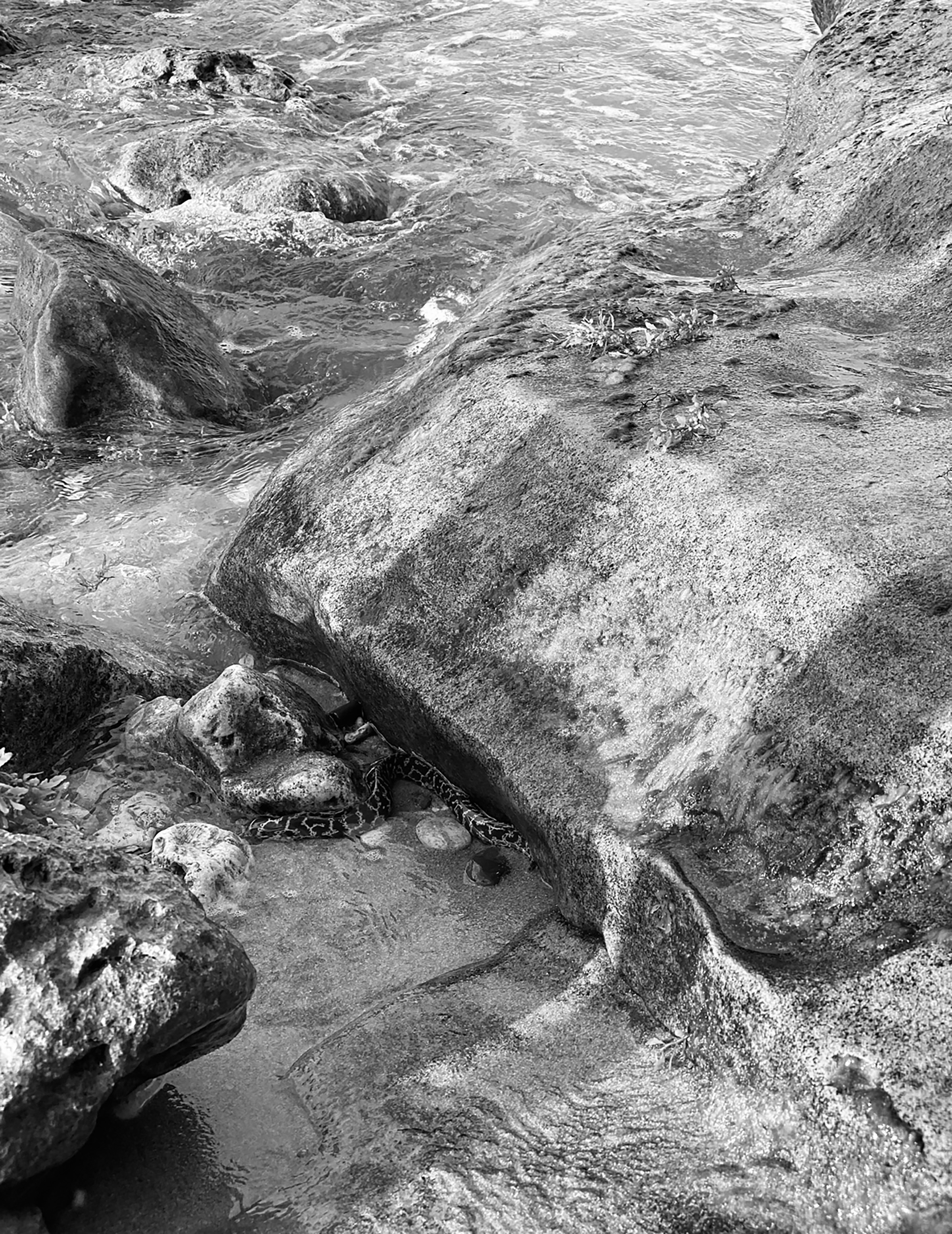 bathsheba, photography, 2021