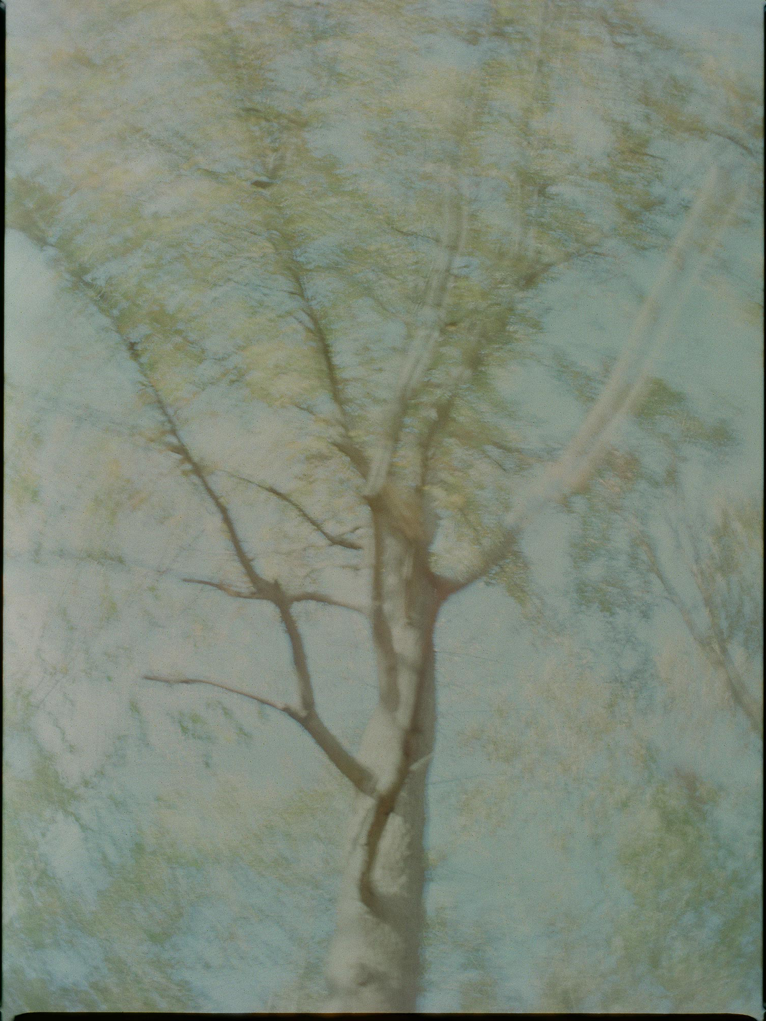 Comme tous les après midis - Zoyâ Pirzâd