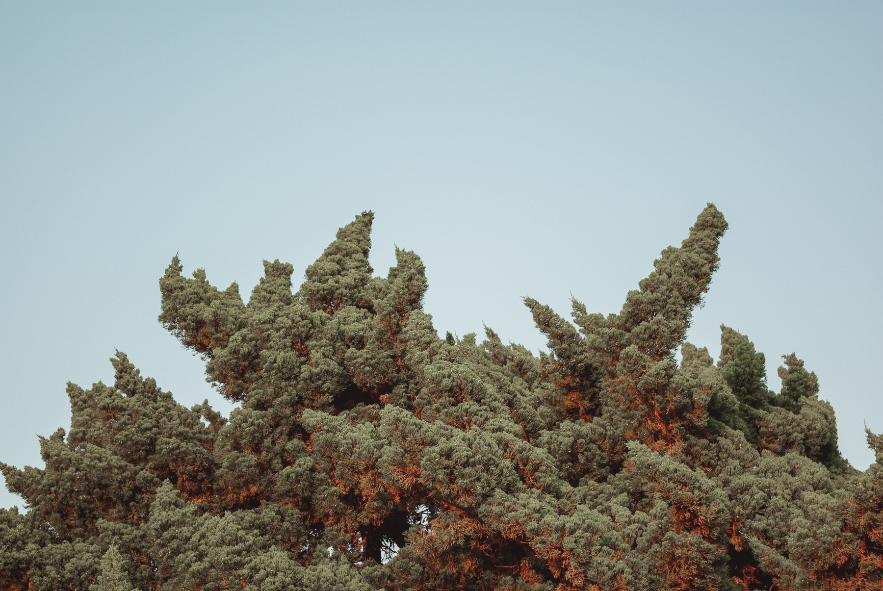 San Diego, California