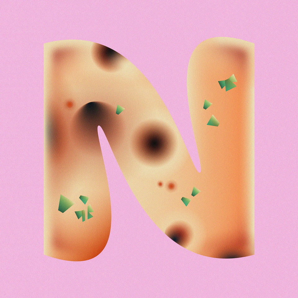 N is for Naan
