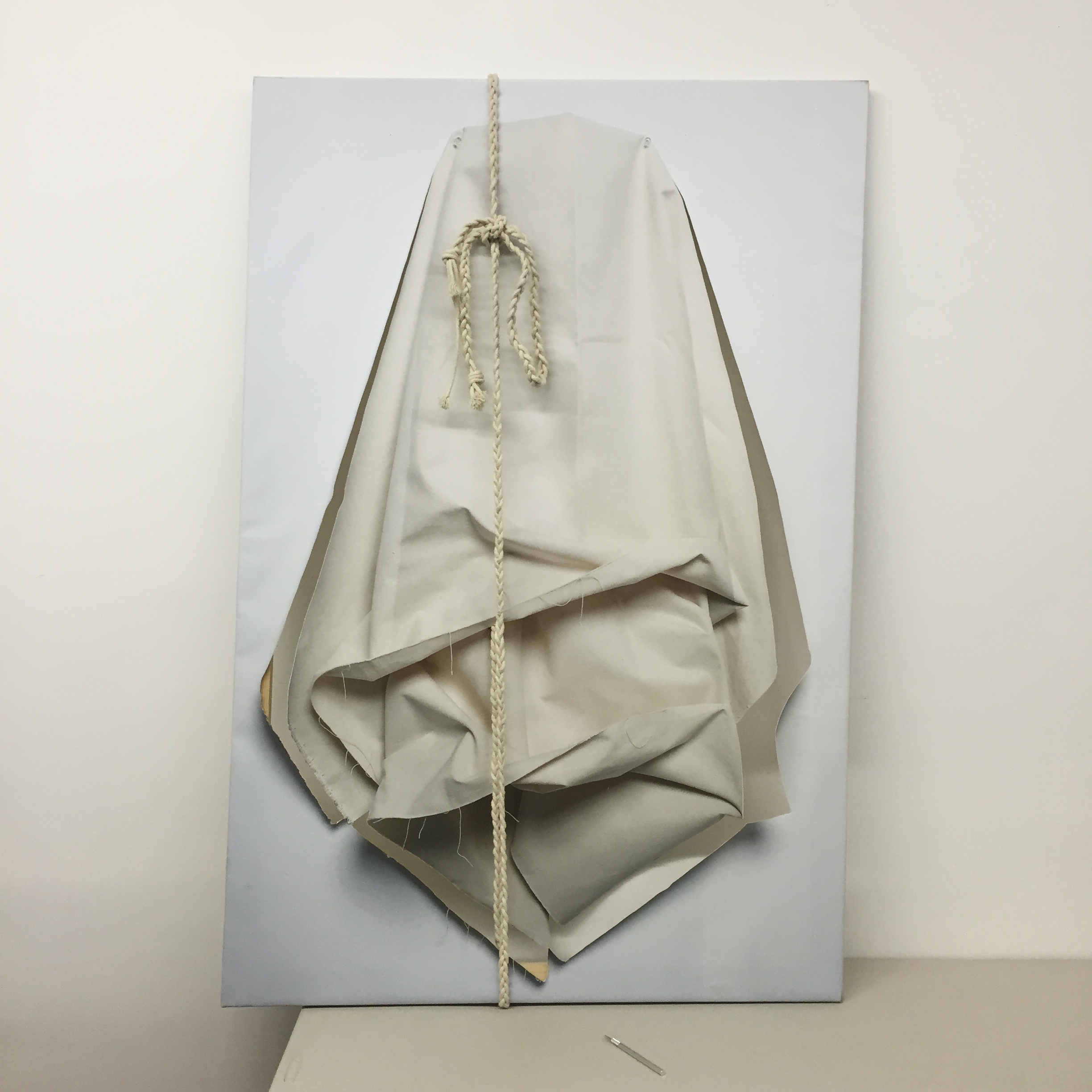 "Ouroboros 5"60"x40" inkjet printed canvas on stretcher, cotton rope