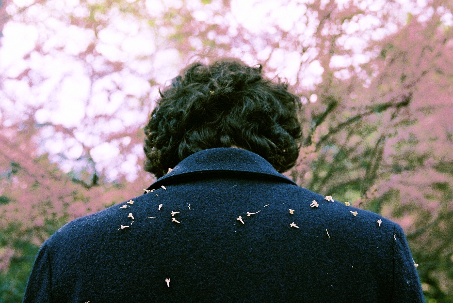 The Neptune Convertible Art Lens → Lomography