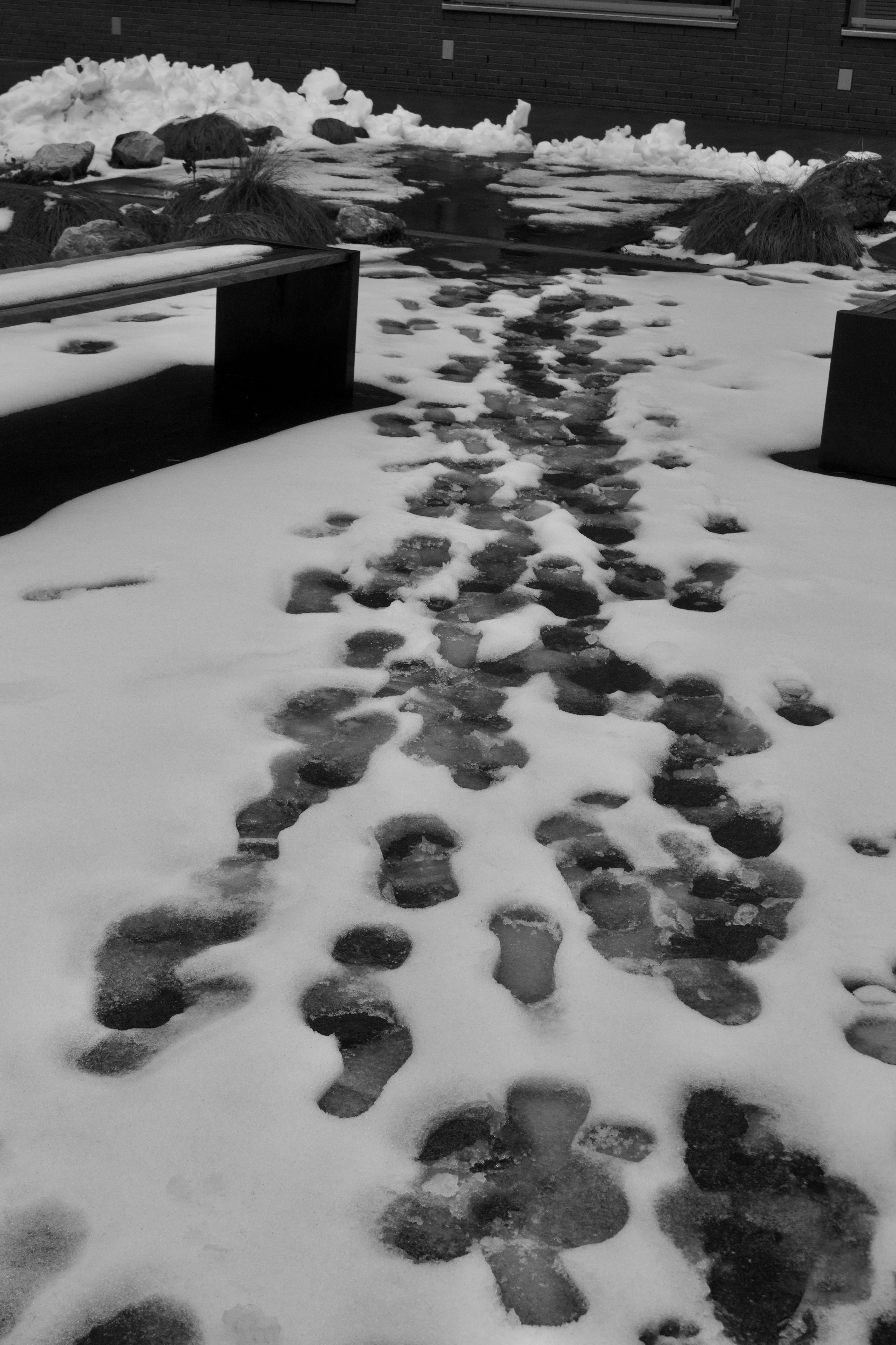 Story by Eliza Oakeshott