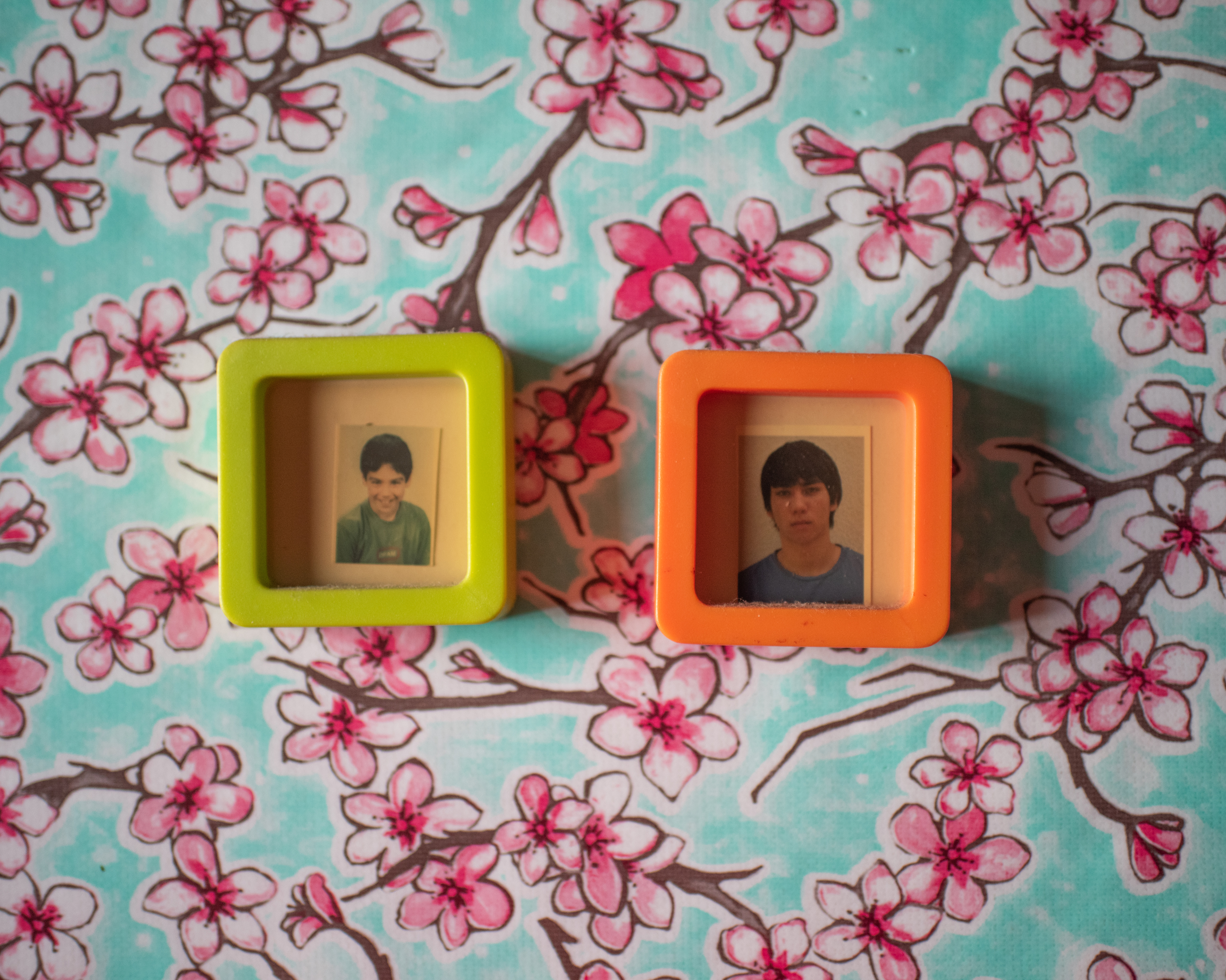 Rose’s children