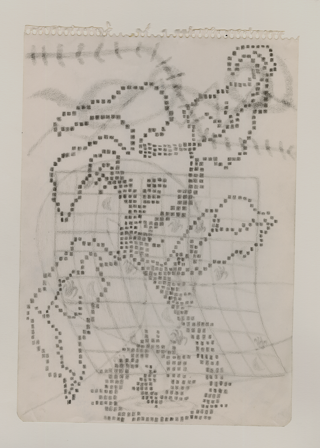 "3 Leaves in a Whorl", 2024, Graphite on Paper 12” x 8.5”