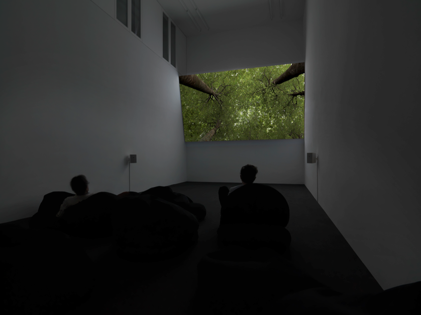  all photos Jens Ziehe