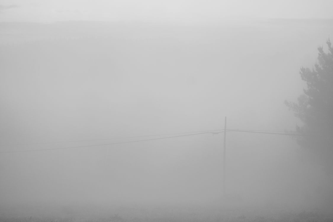 Galicia, 2019