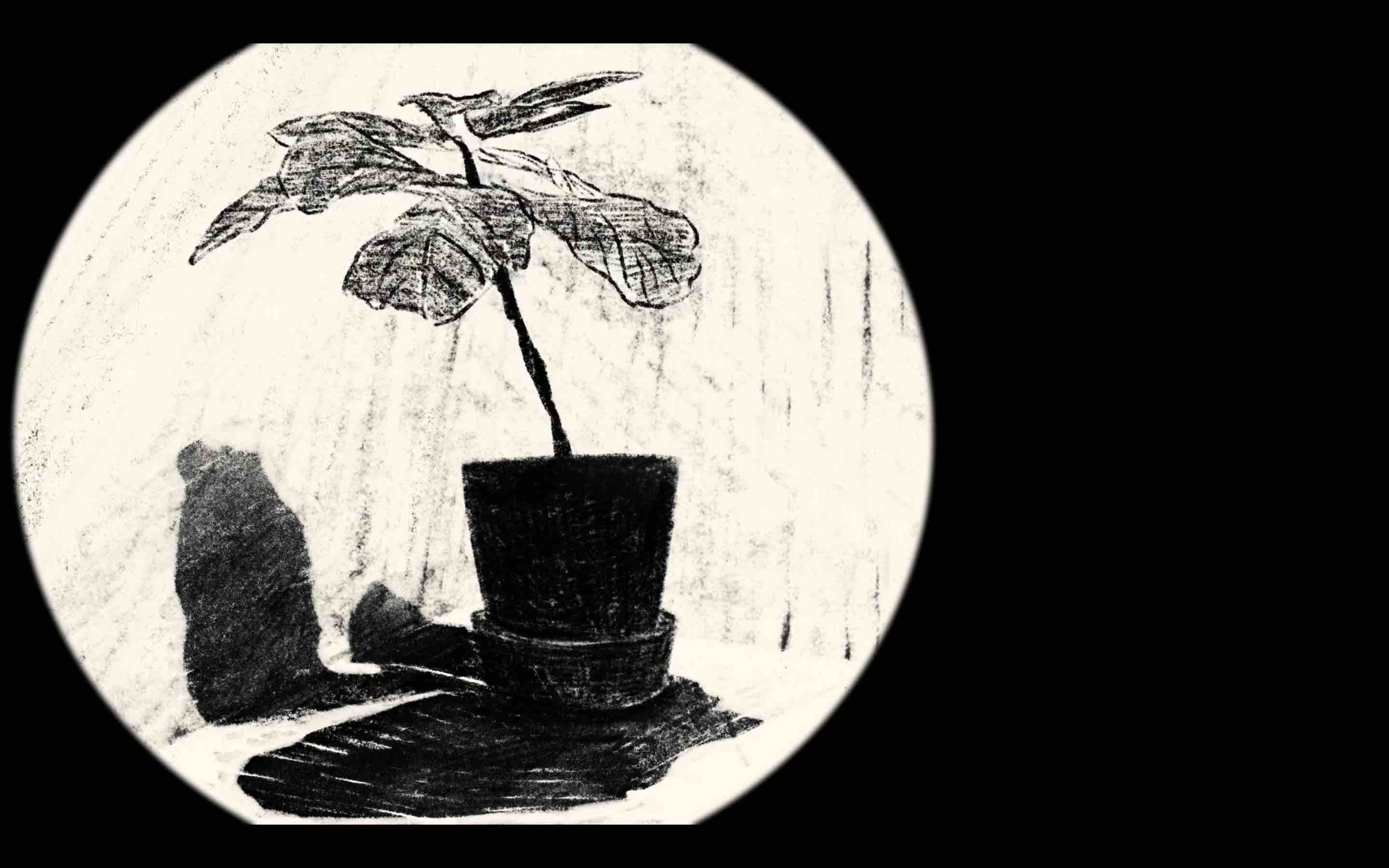 Screenshots of Mr Lightbulb