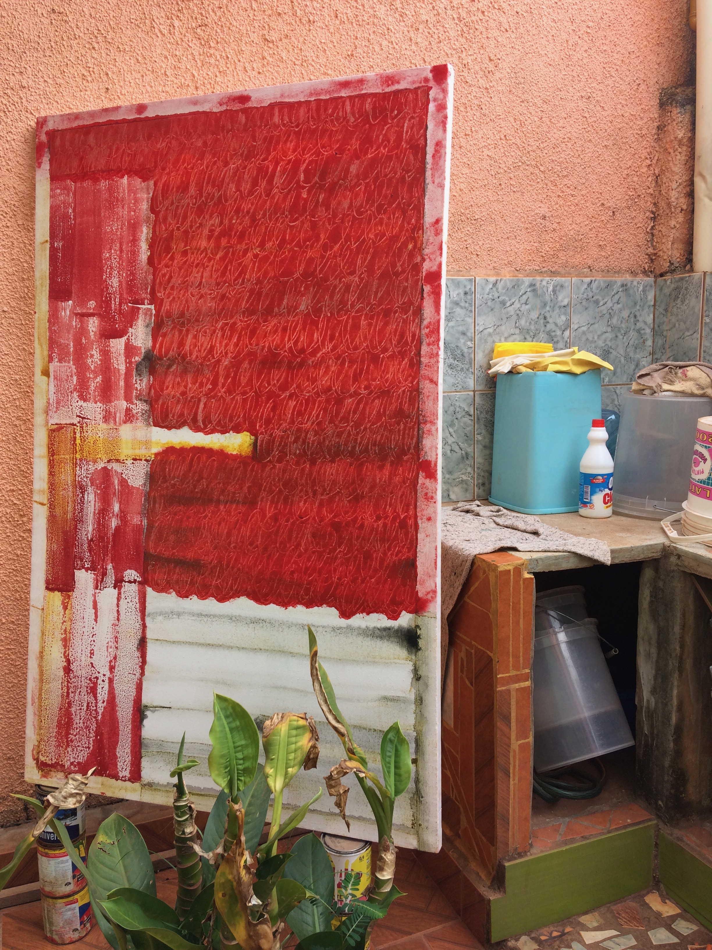 Proceso Rojo