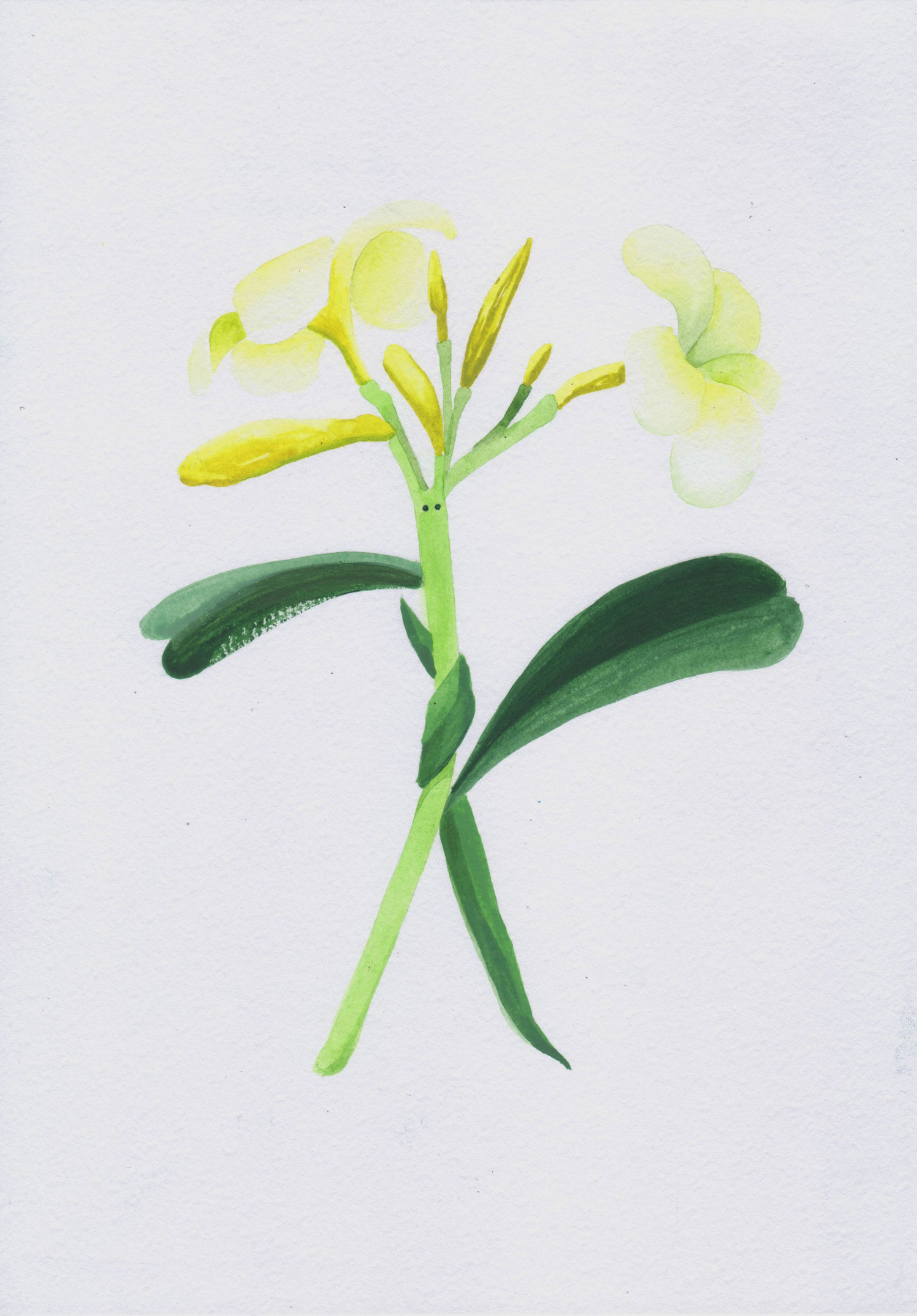 "Plumeria 1", 2022, paper, watercolor, acryl