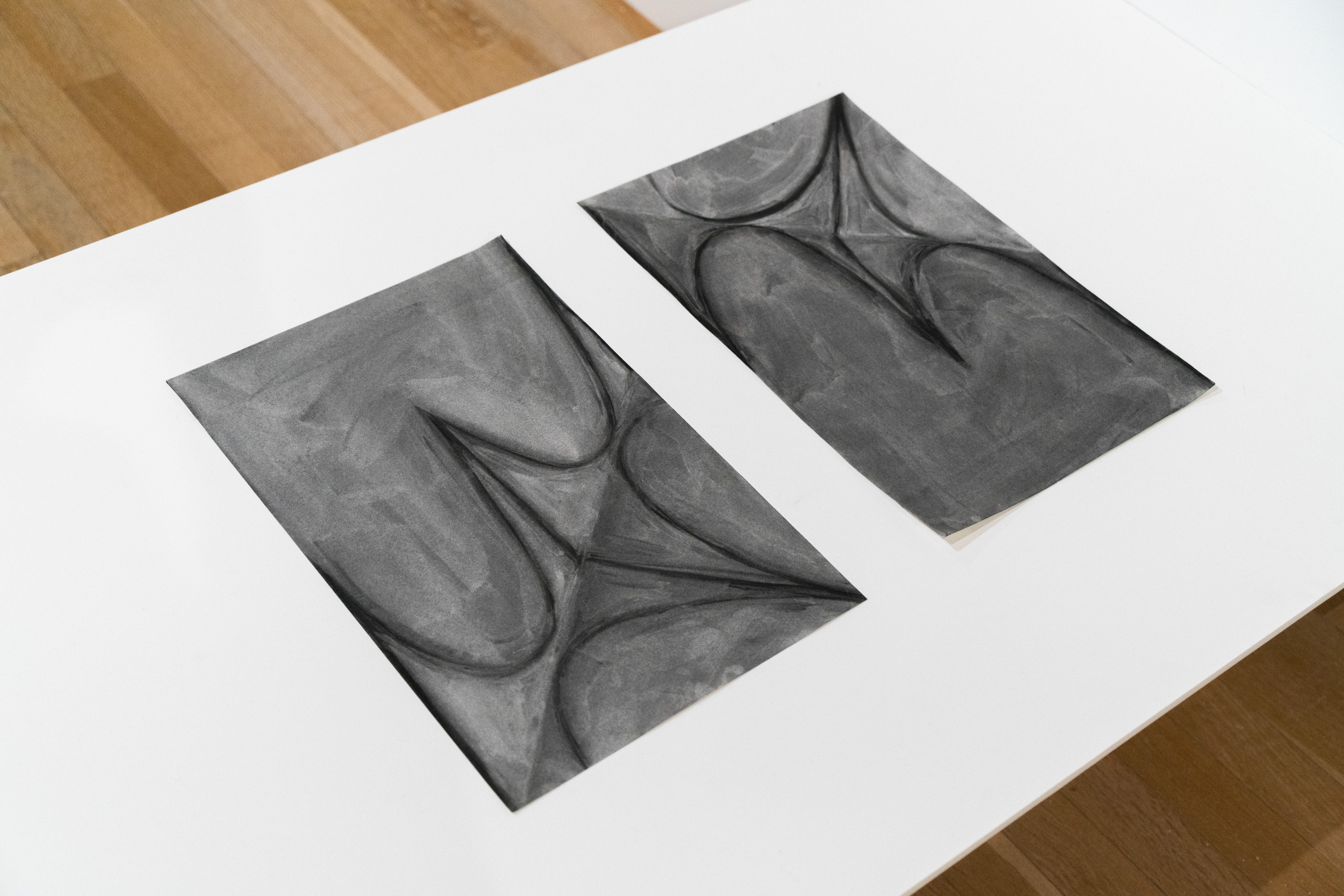 Flip, charcoal on 2 sheets of paper, 18 x 12 inches each, 2025