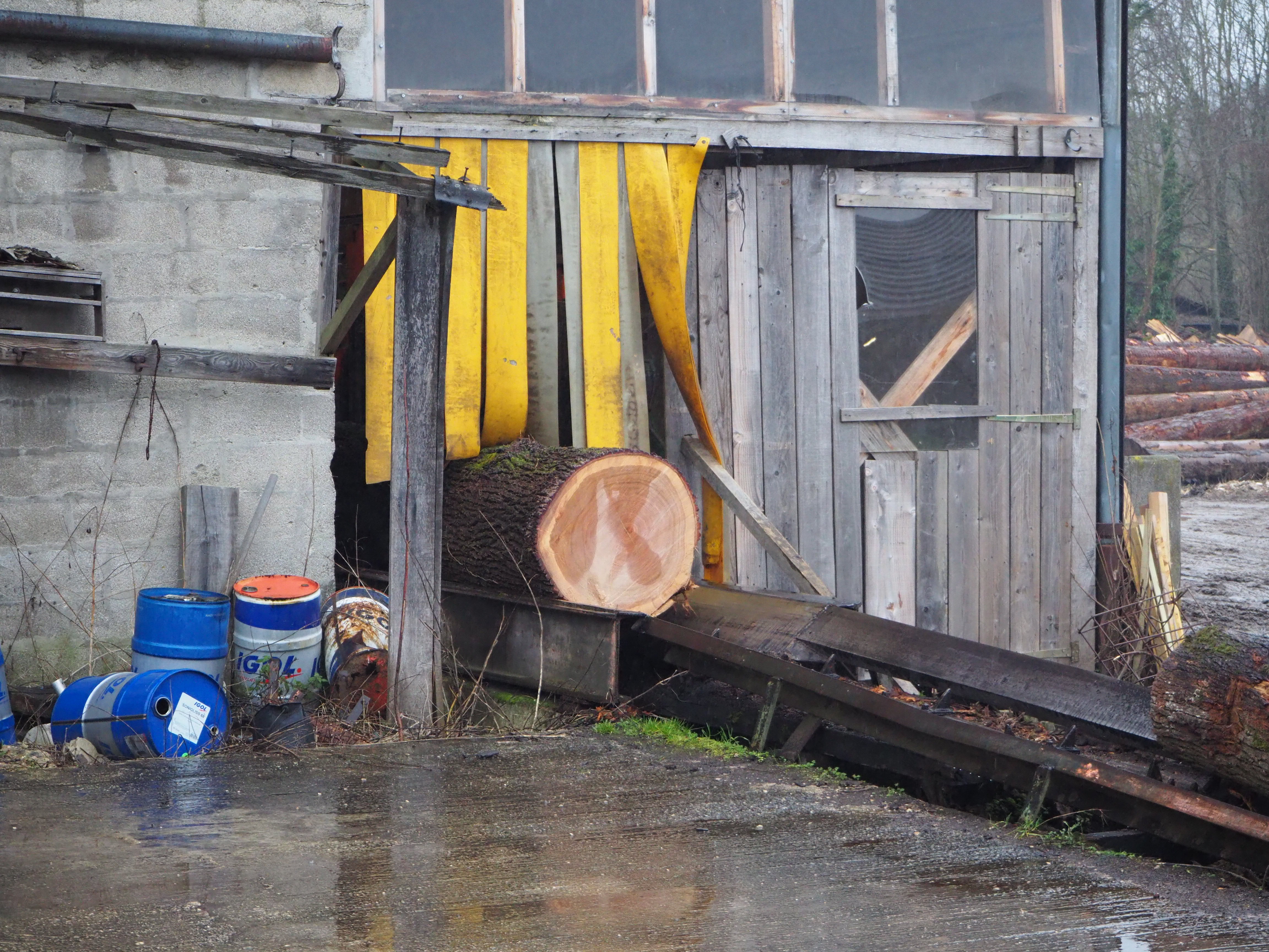 La grume est placée sur le convoyeur