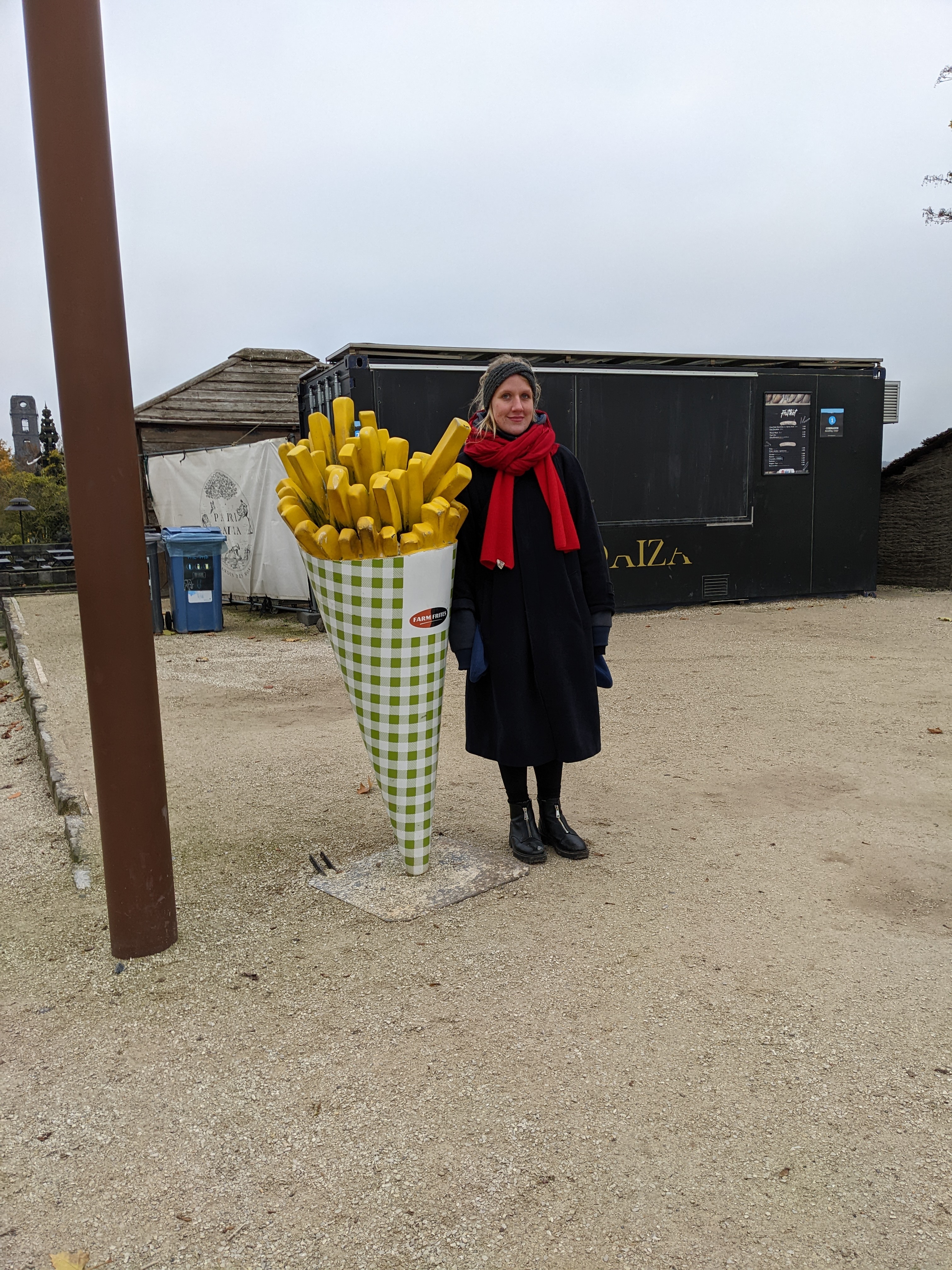 Really Big French Fries