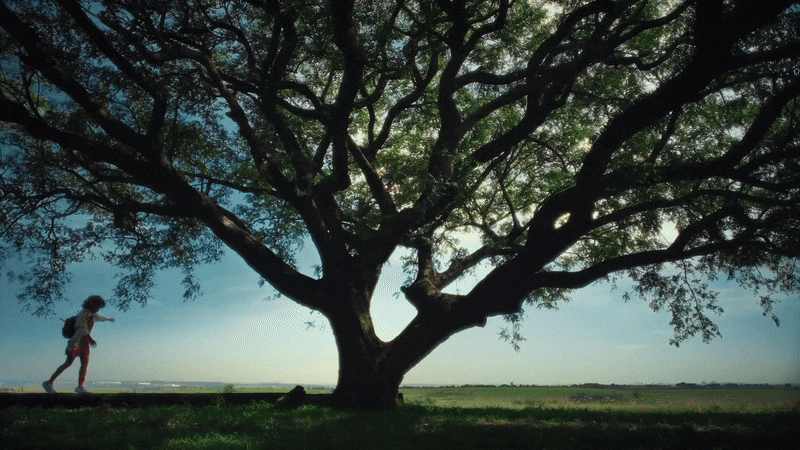 TRANSIÇÃO ENERGÉTICA JUSTA