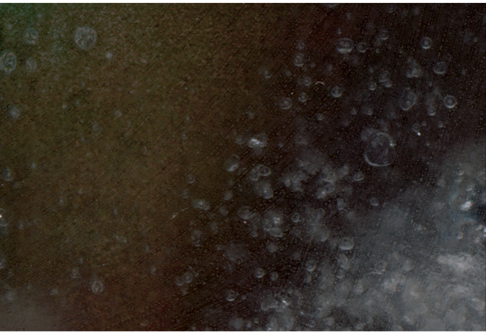 Seeking a Body (frozen inkjet, 2024)