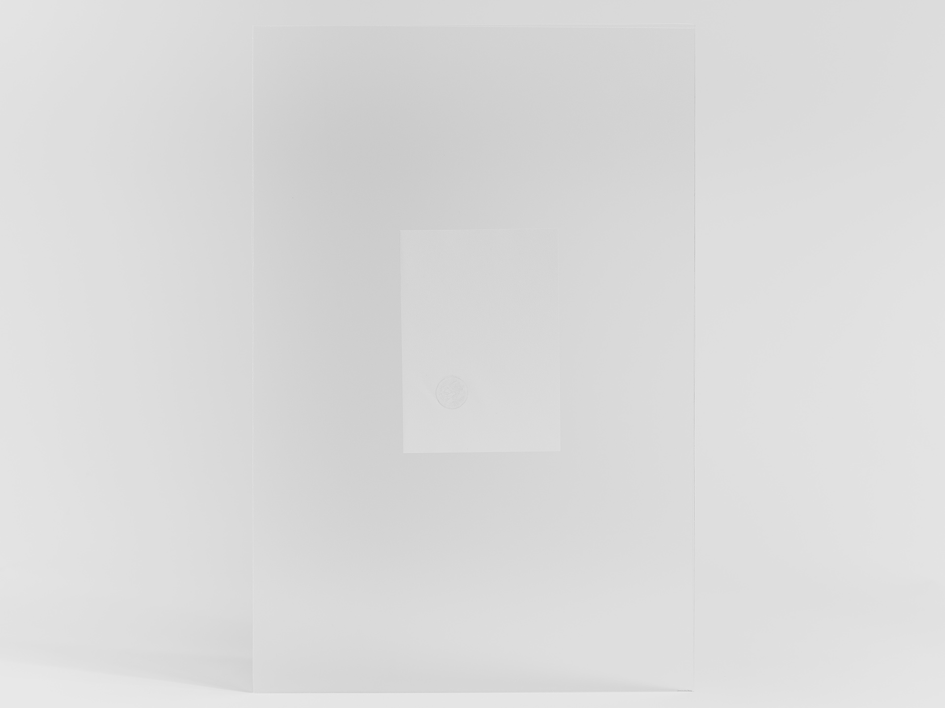 Manufacture of distorted images