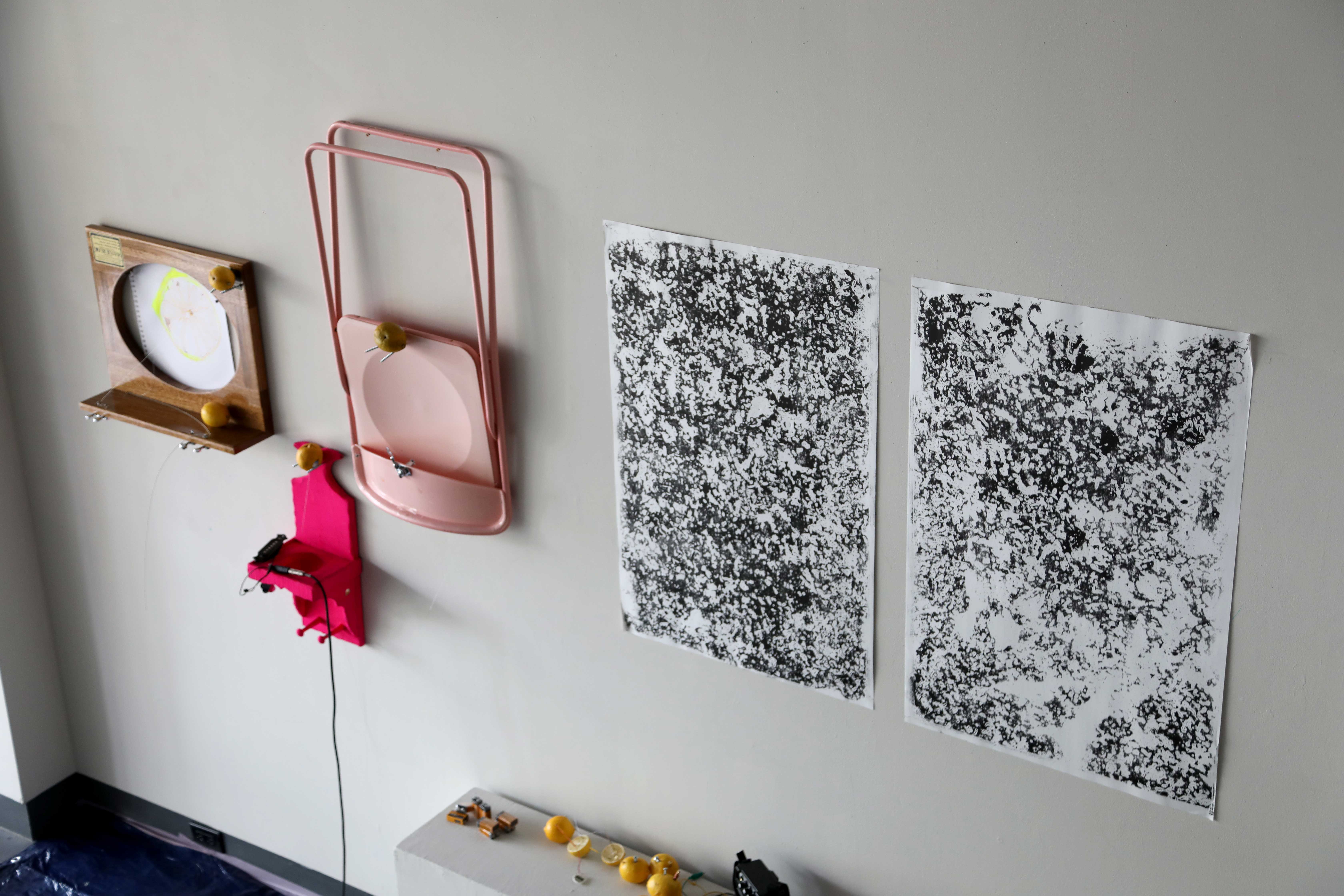 Lemon Instruments + Monotypes