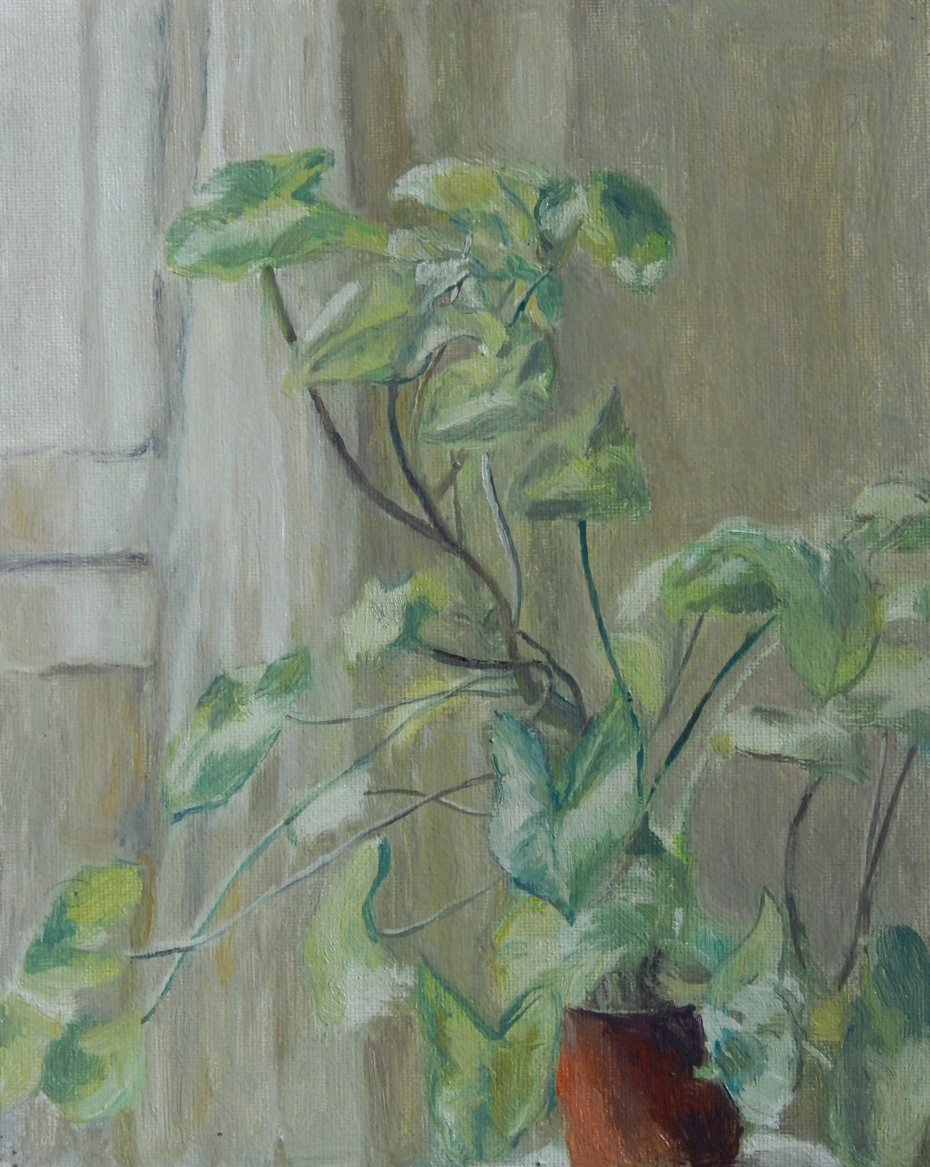 Planta día nublado - 20x25 cm - óleo sobre tabla