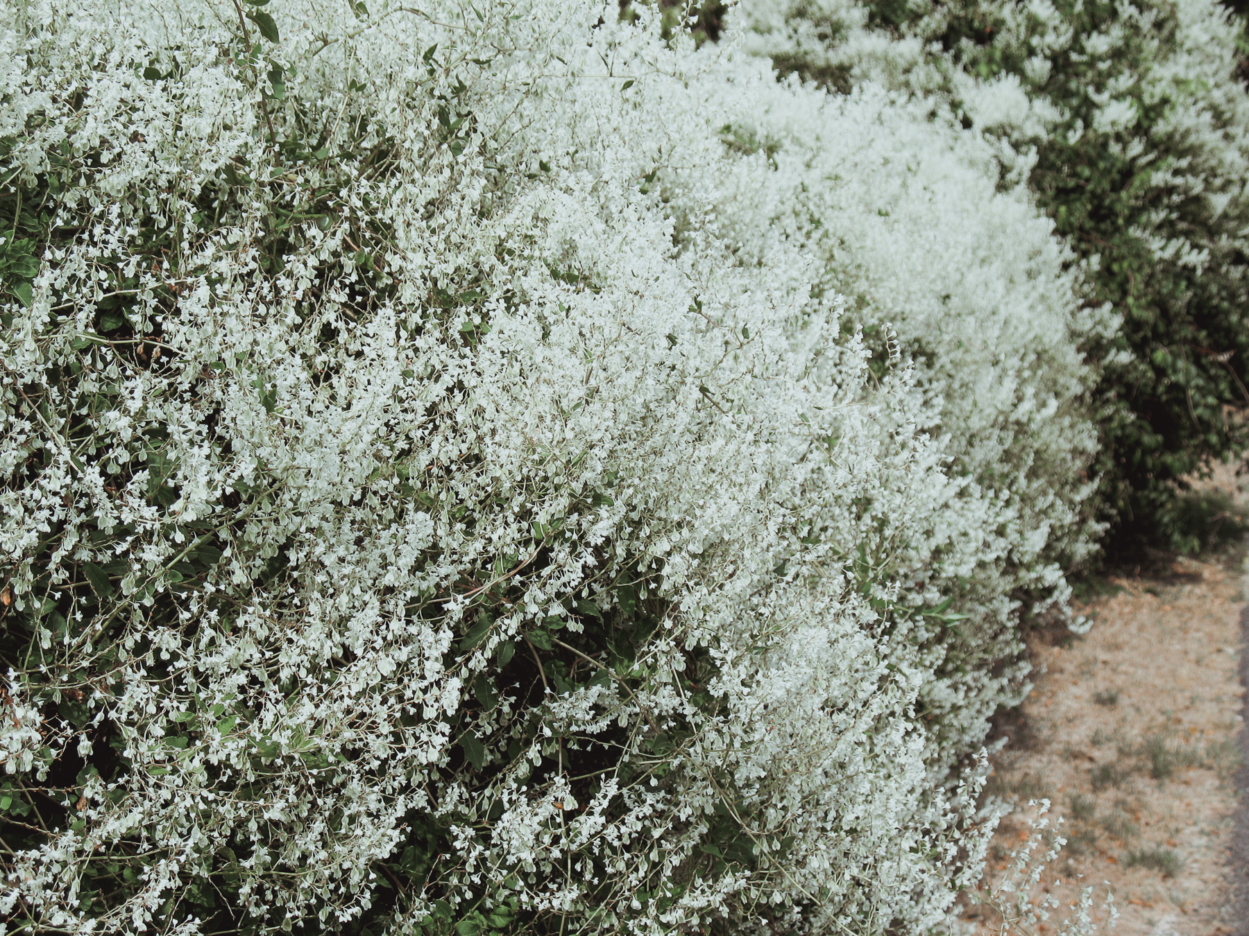 Watertown, Massachusetts