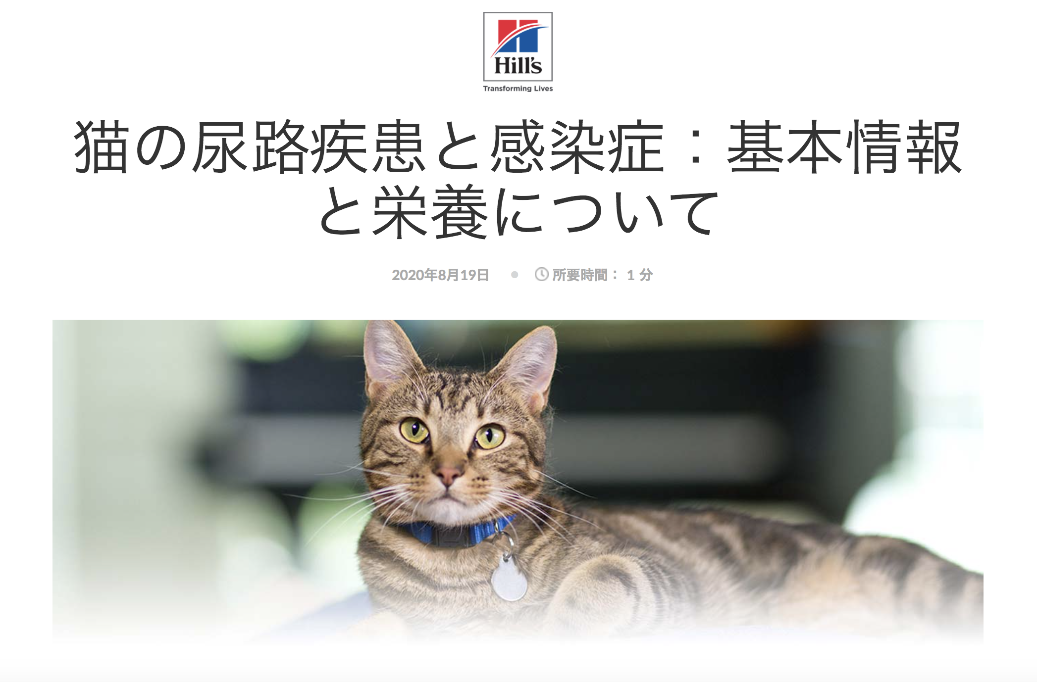 Feline Urinary Tract Diseases & Infections: Click to read