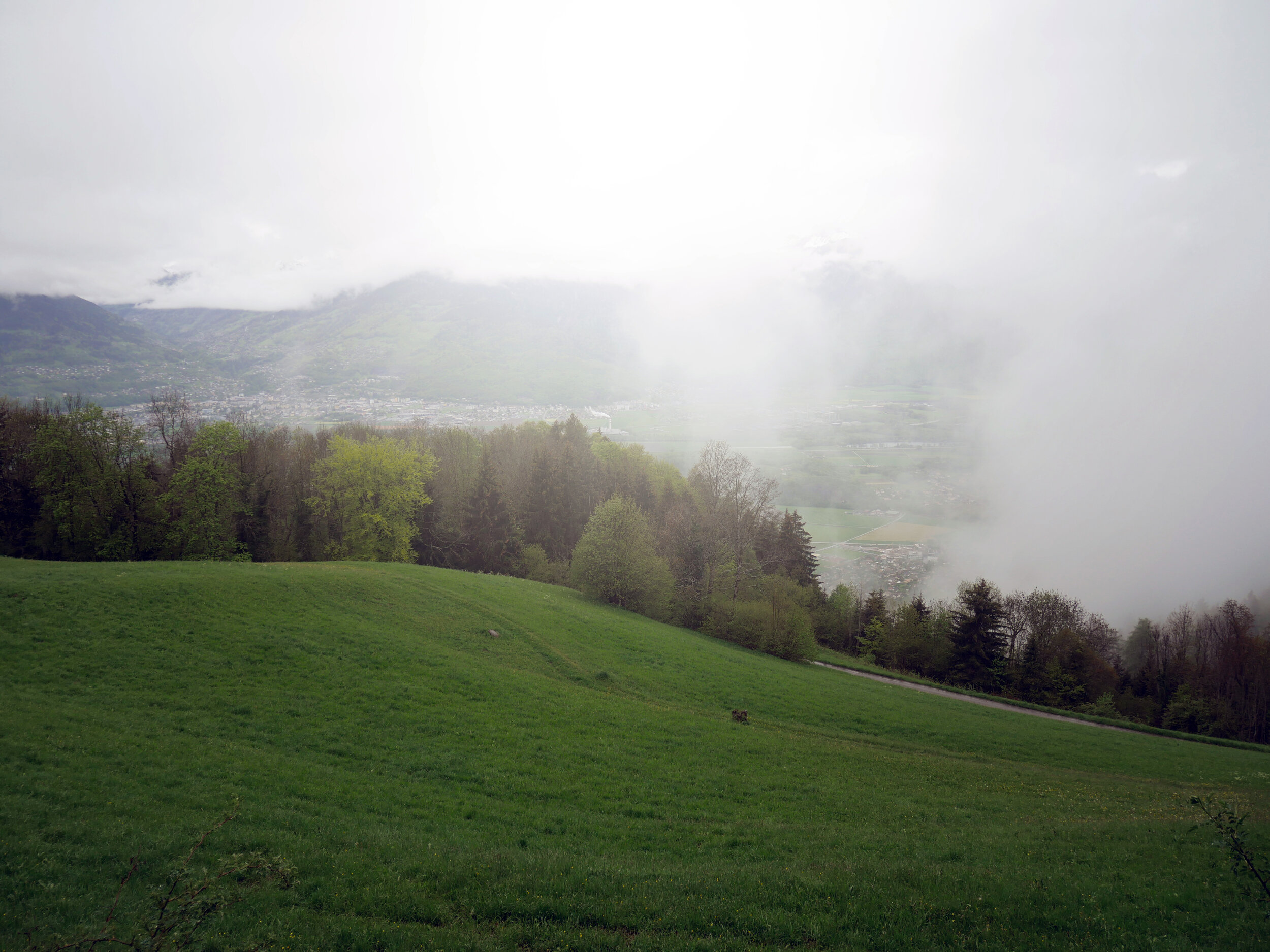 Huémoz, Switzerland, 2021