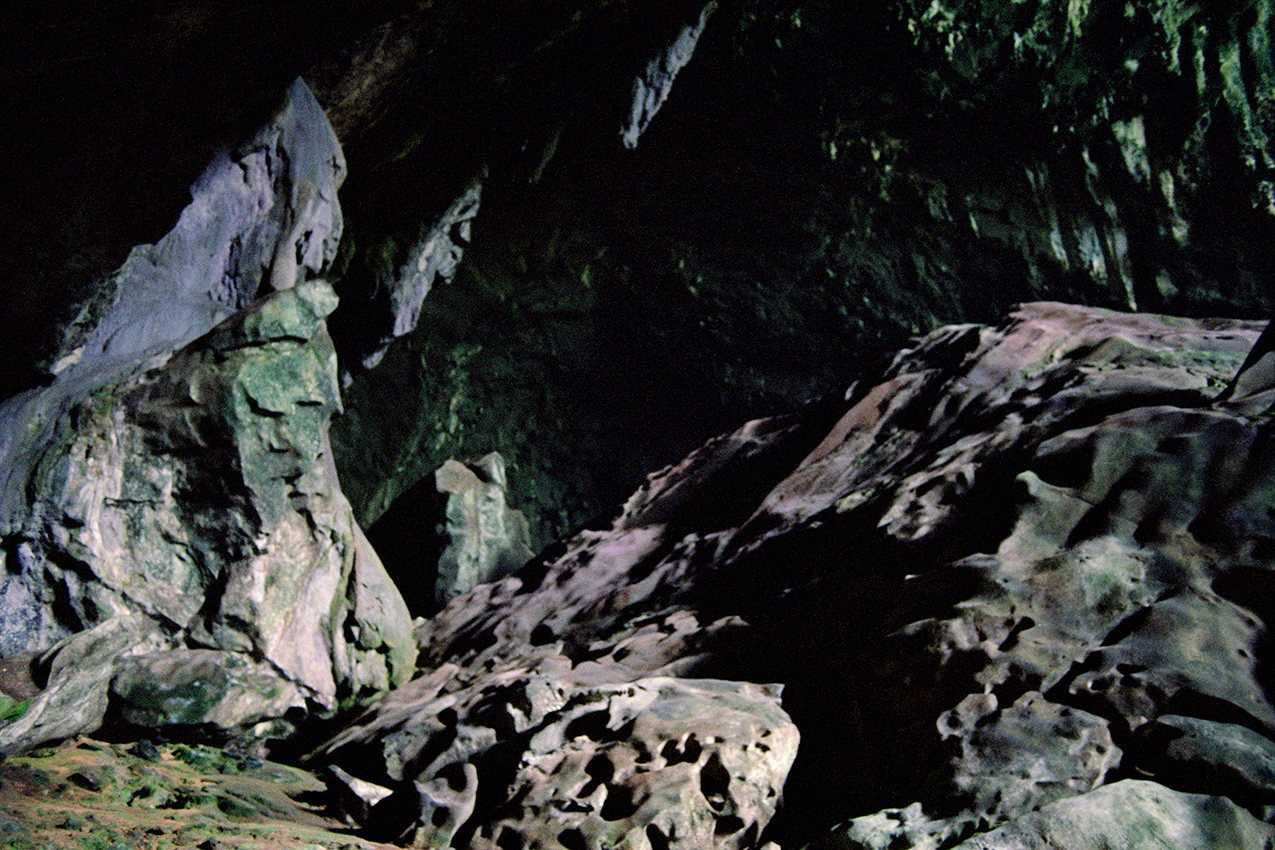 RESEARCH AND PERCEPTIONS