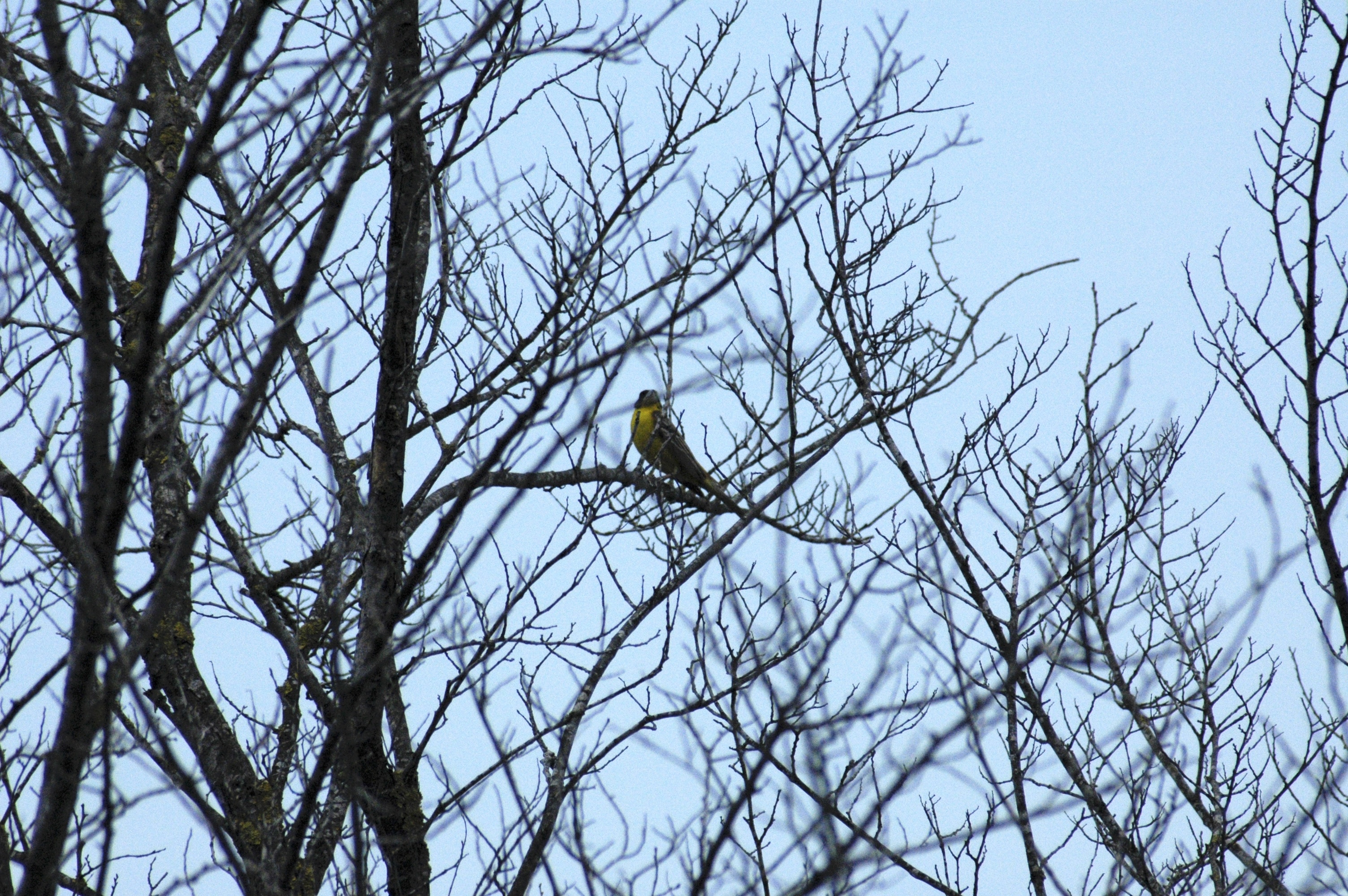 05.05.2012, Kampüs dışı