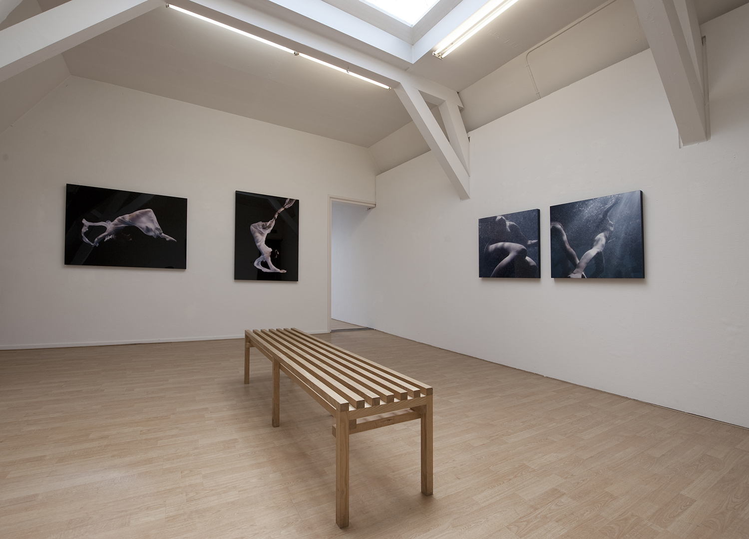 Solo Flatland Gallery Utrecht 2011