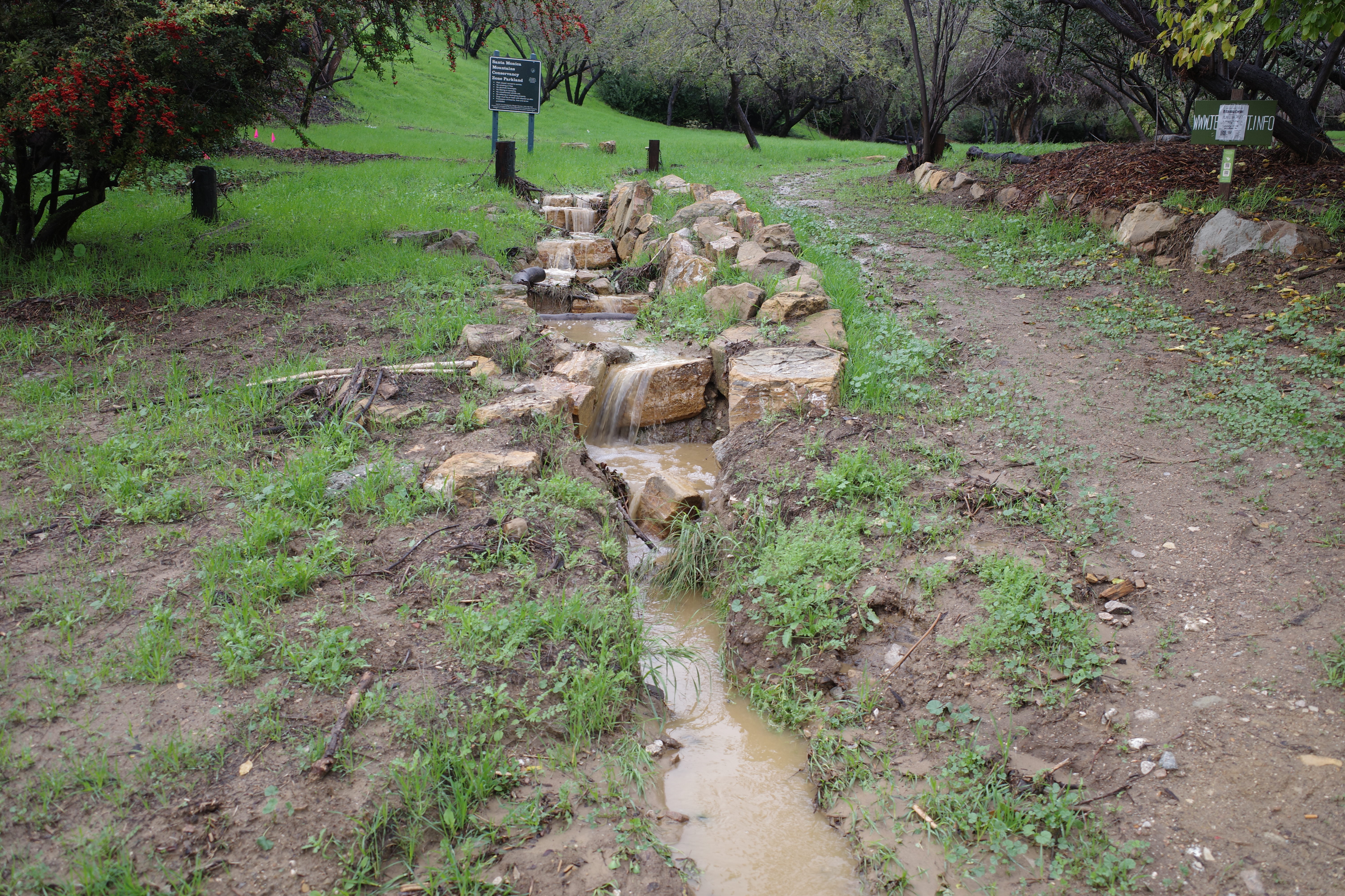 Fig 8. First flush down the steps 