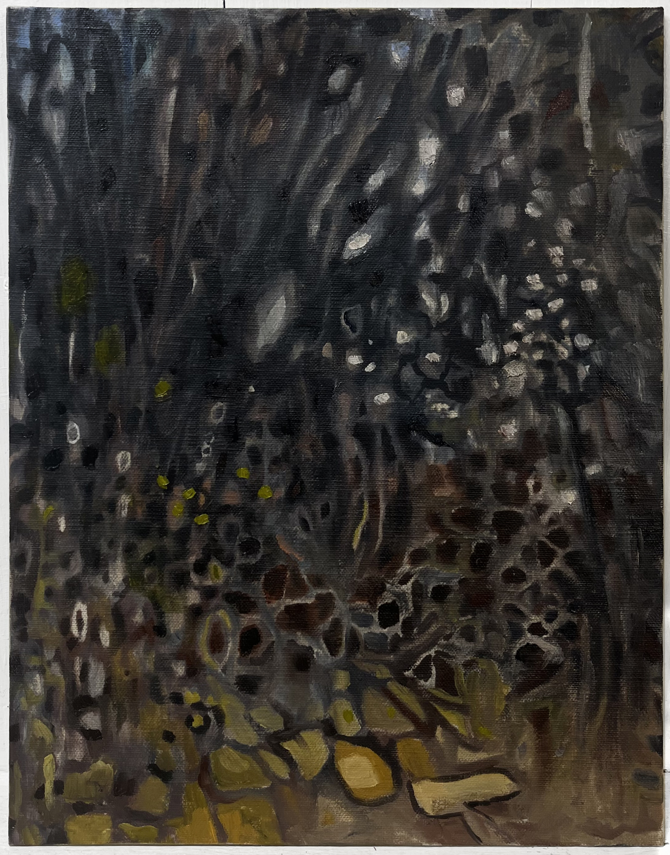 forest in moonlight | 14 x 11 inches | oil on linen panel