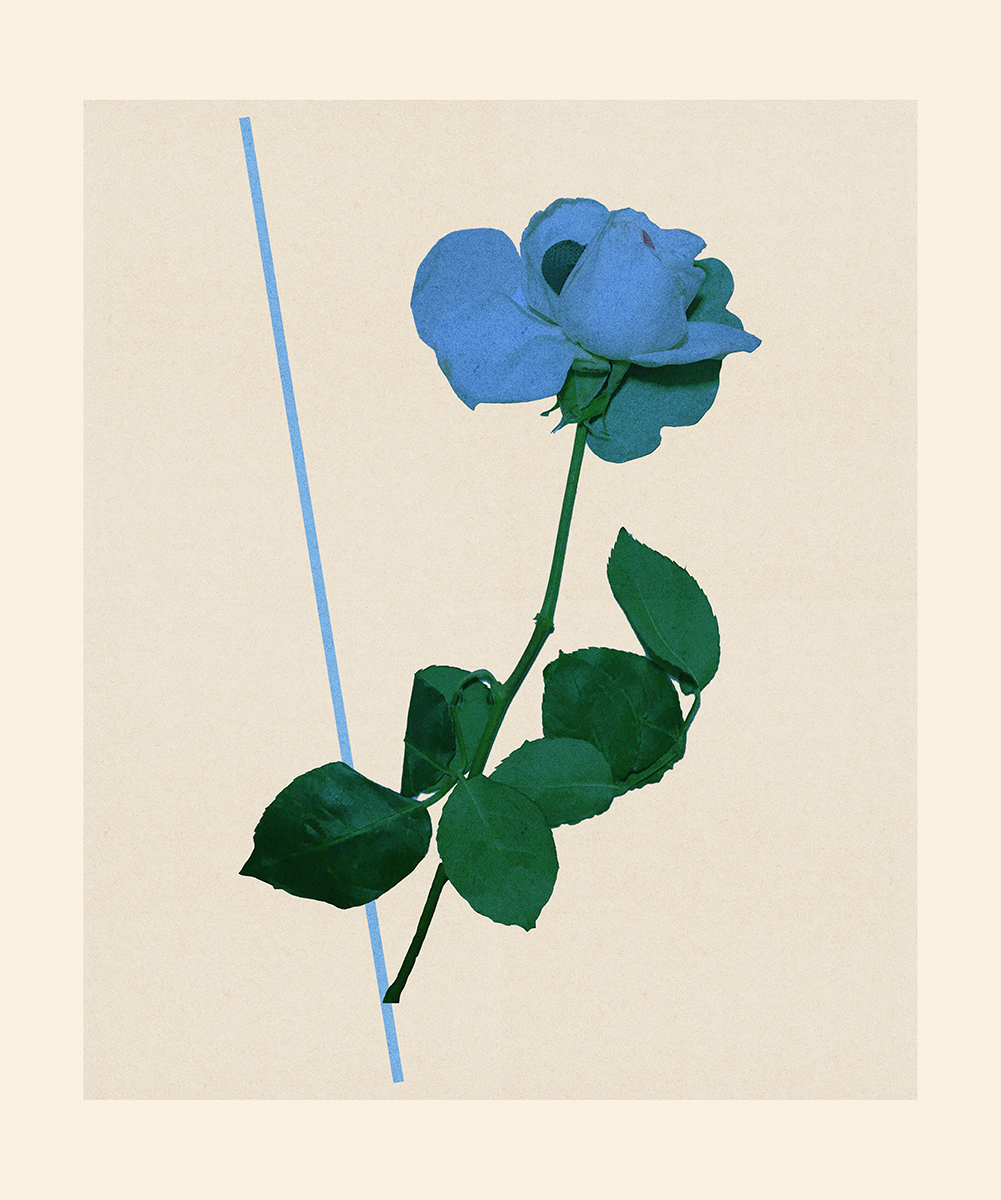 14. true blue 2 07.12.2025