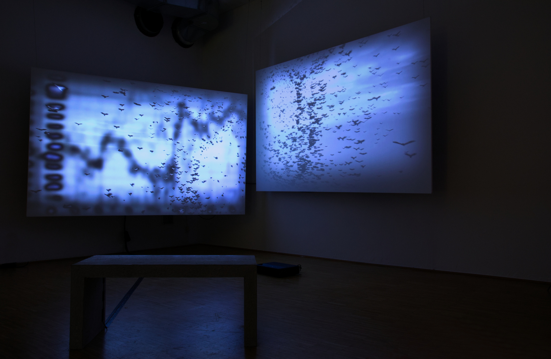 installation shot 1, Ars Electronica 2022