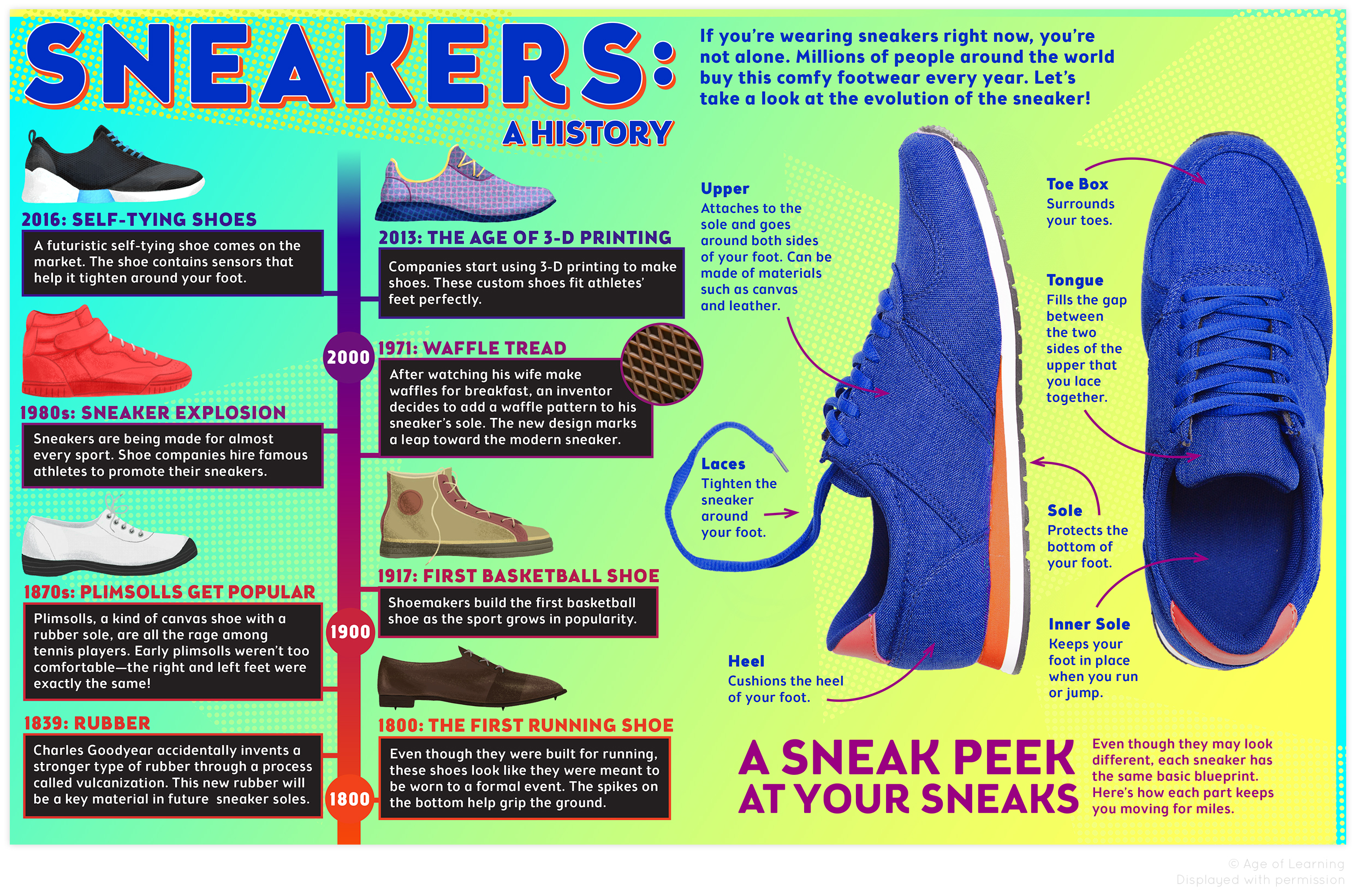 SNEAKERS  Shoe Illustrations by Paige Pooler