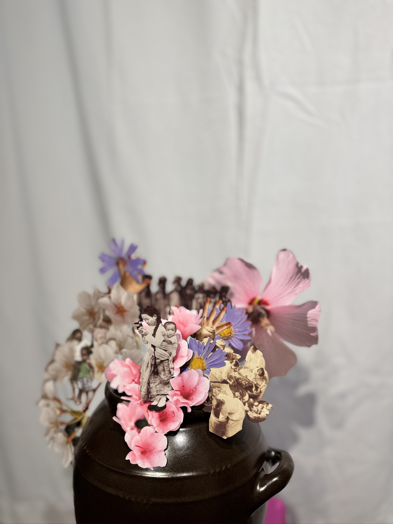 collage cocoji in hangari jars || photographs of flowers taken by my mom, spanning the last 15 years, including personal and historic archival photos