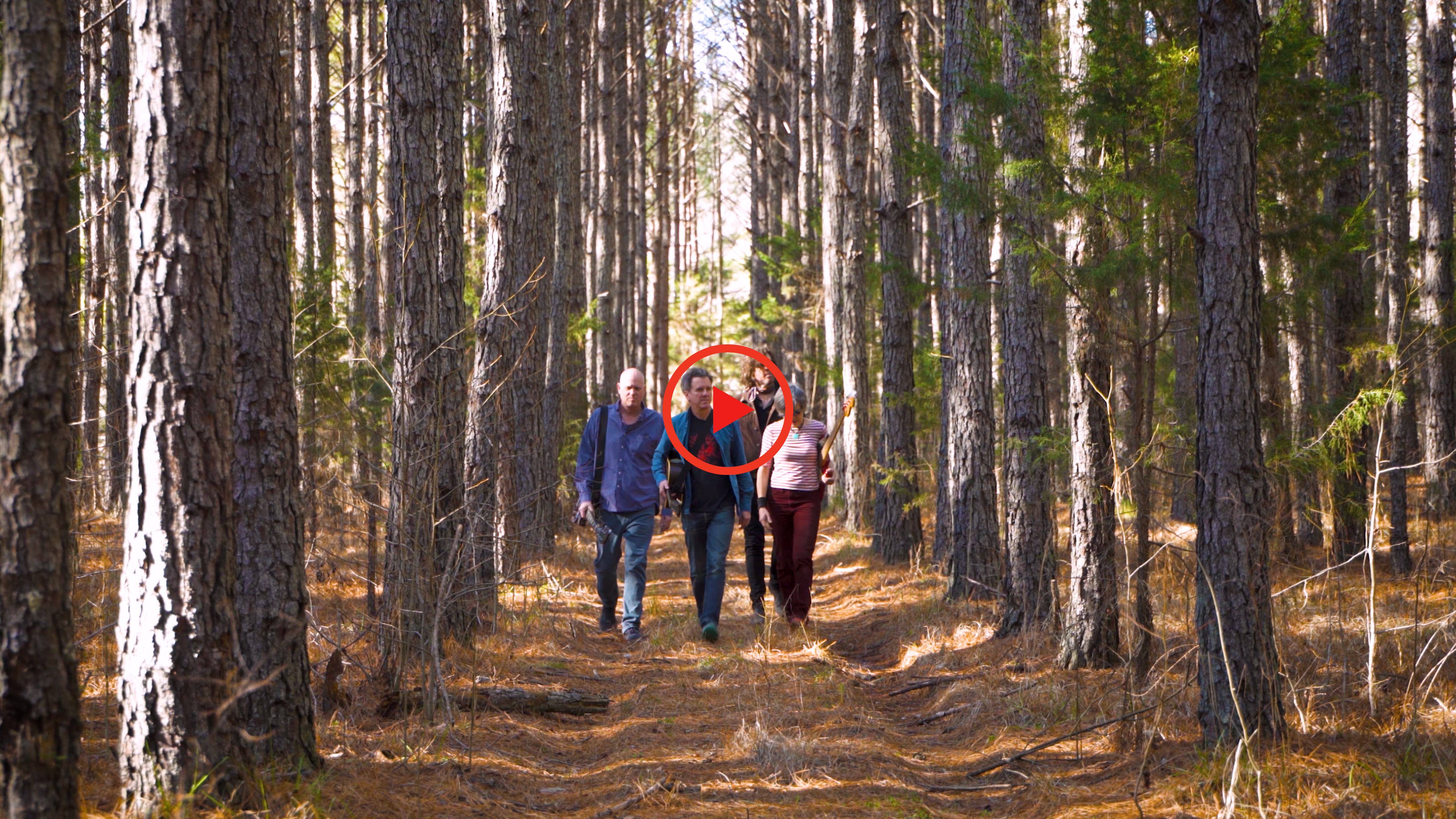 Superchunk - Wild Loneliness