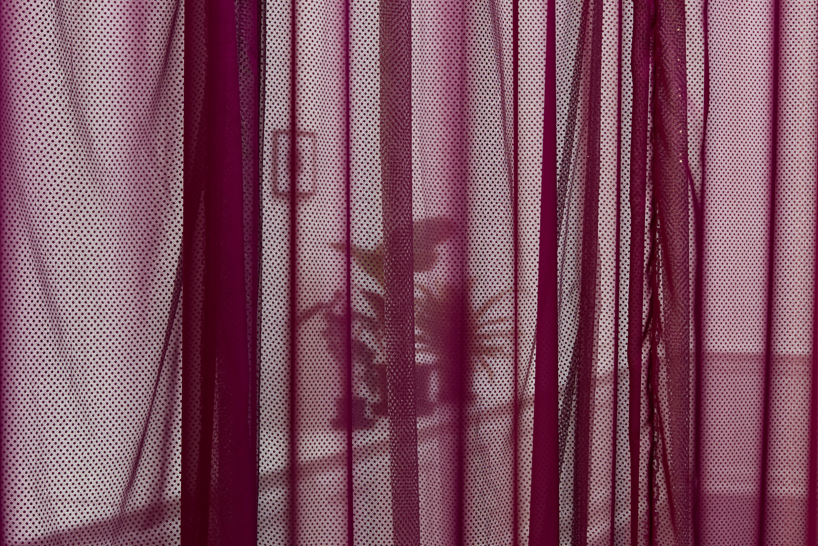 Pauline Boudry / Renate Lorenz _ Patriarchal Poetry