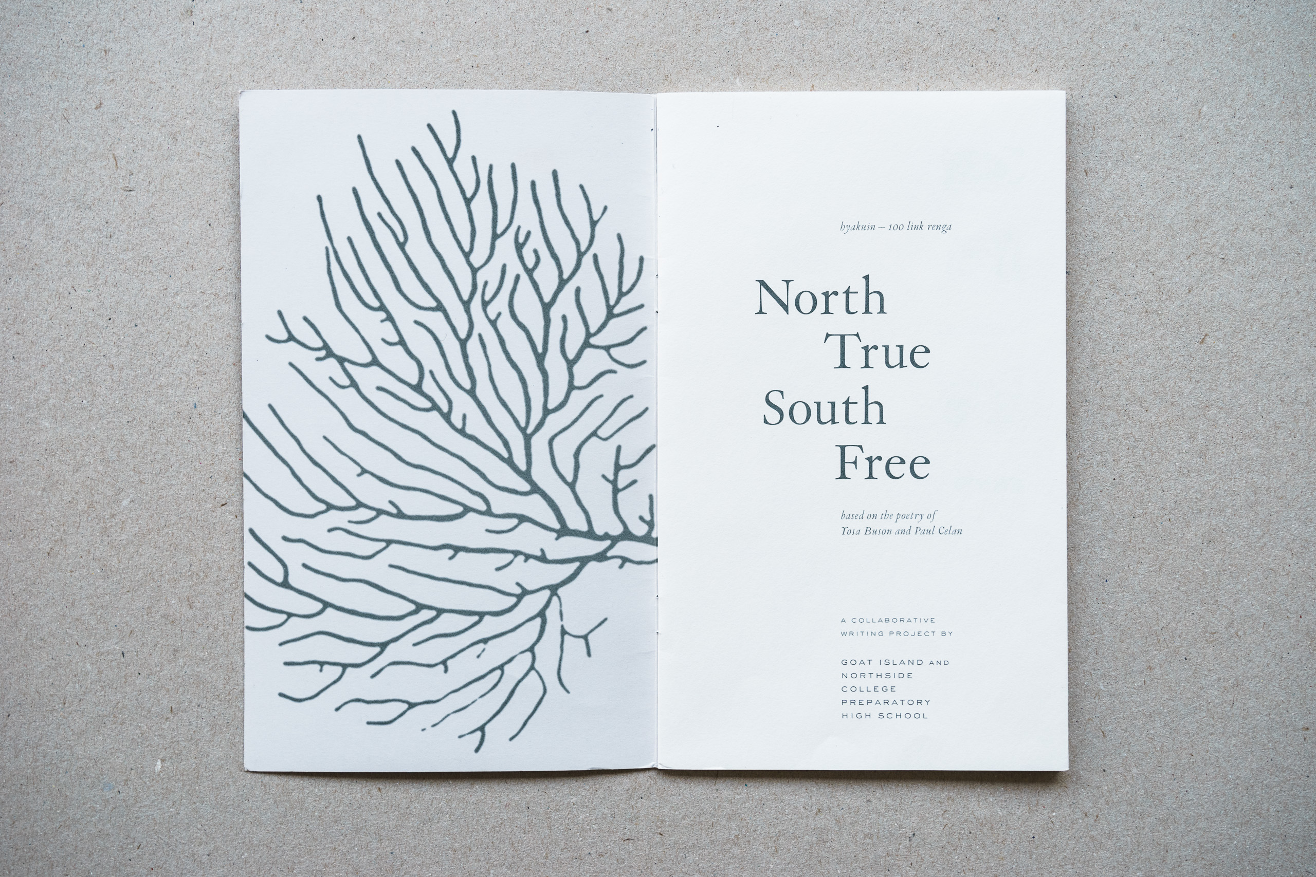 Photo by Patrick Pagel