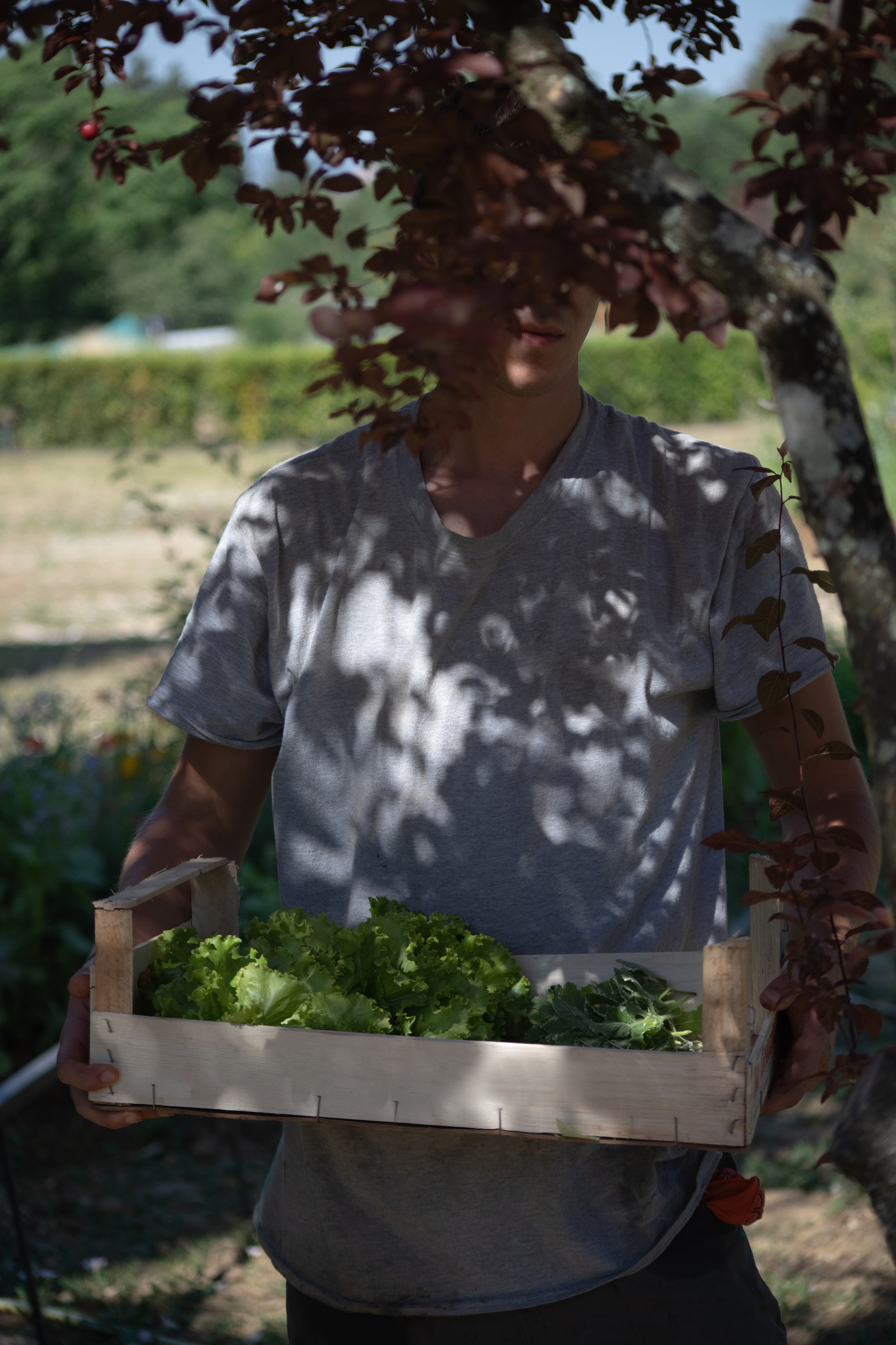 Il Salvatino Hotel Florence