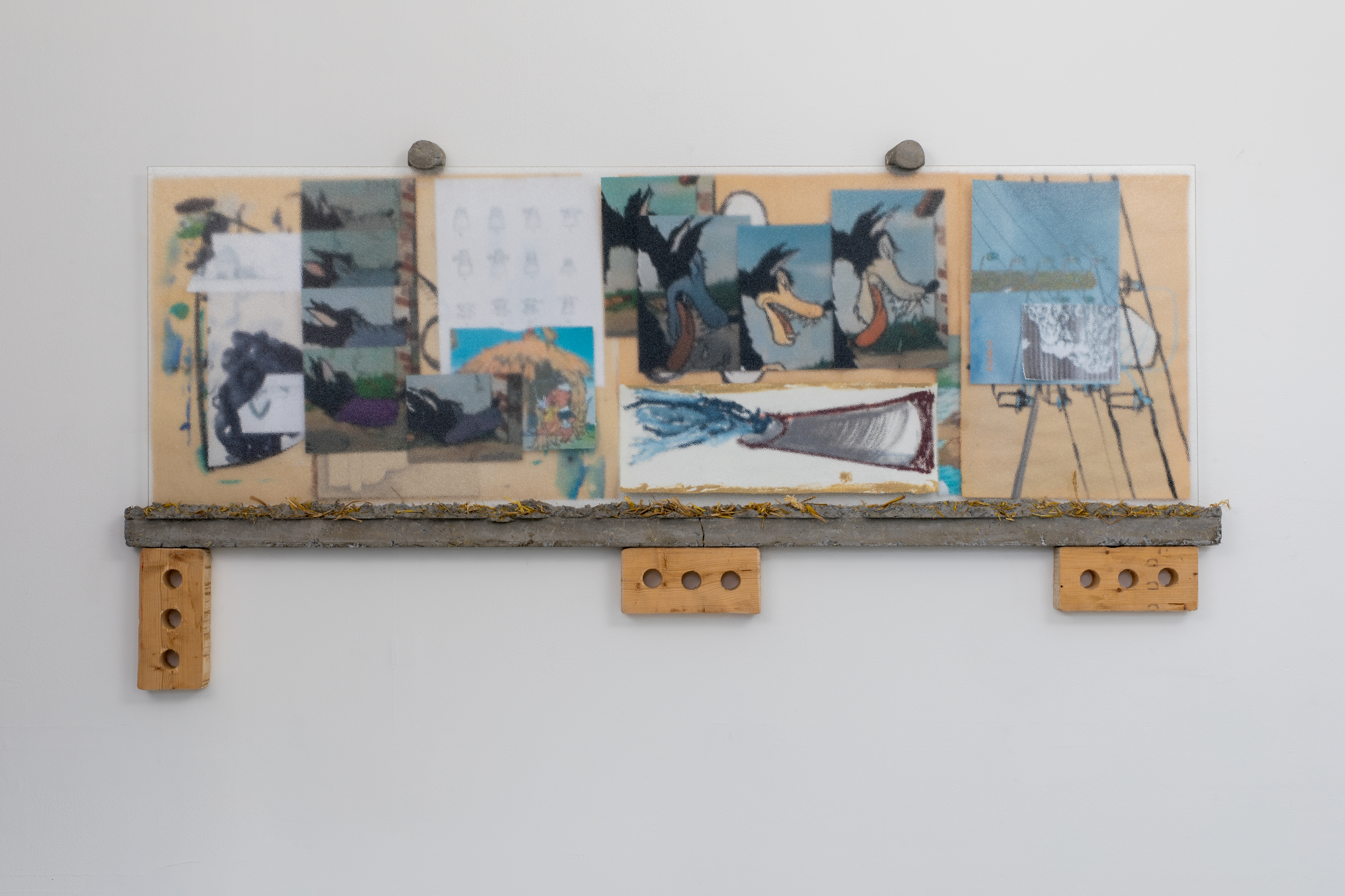 pistage (loup), 55.9 x 28.3 x 2 in