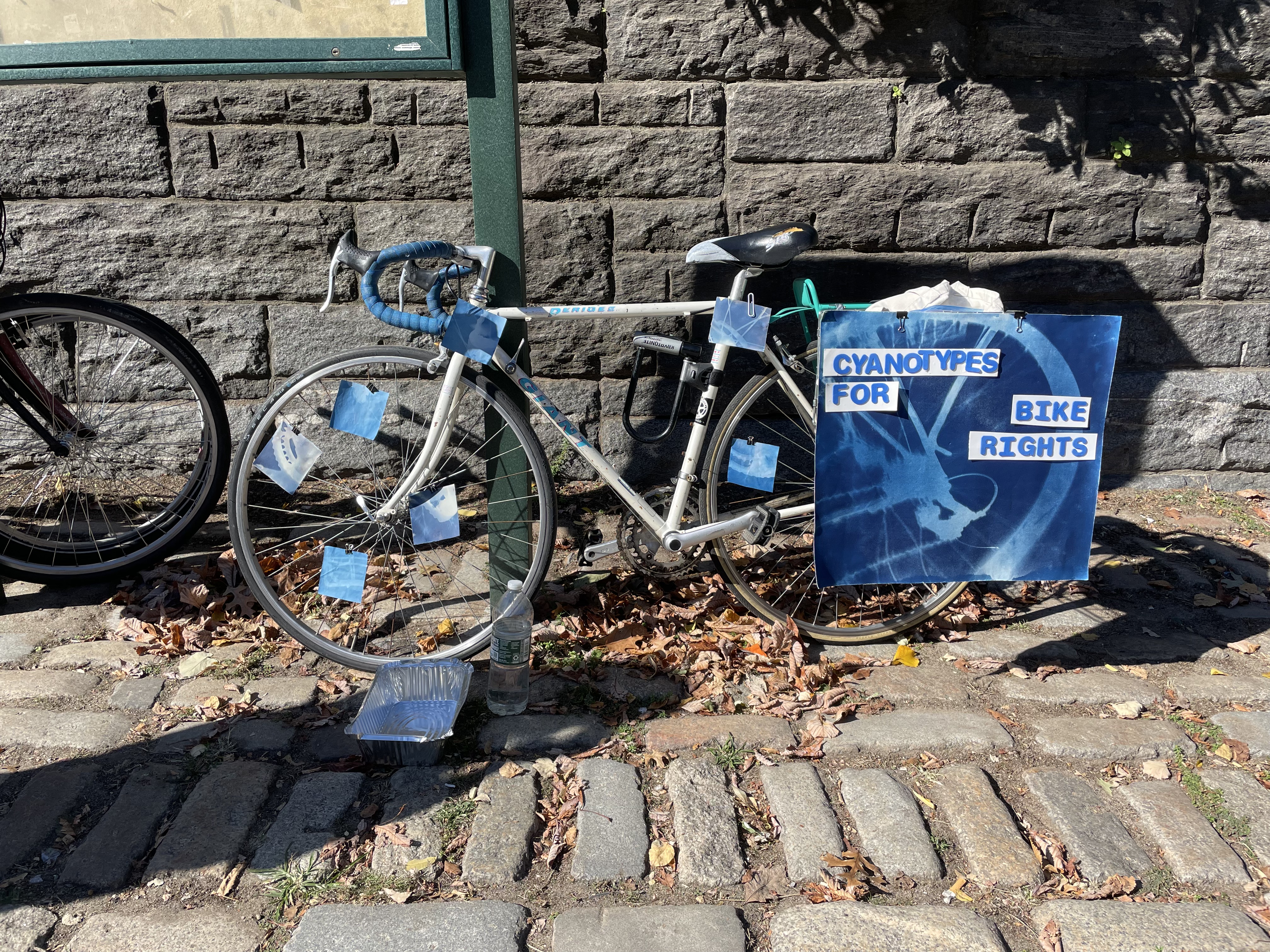 Cyanotypes for Bike Rights